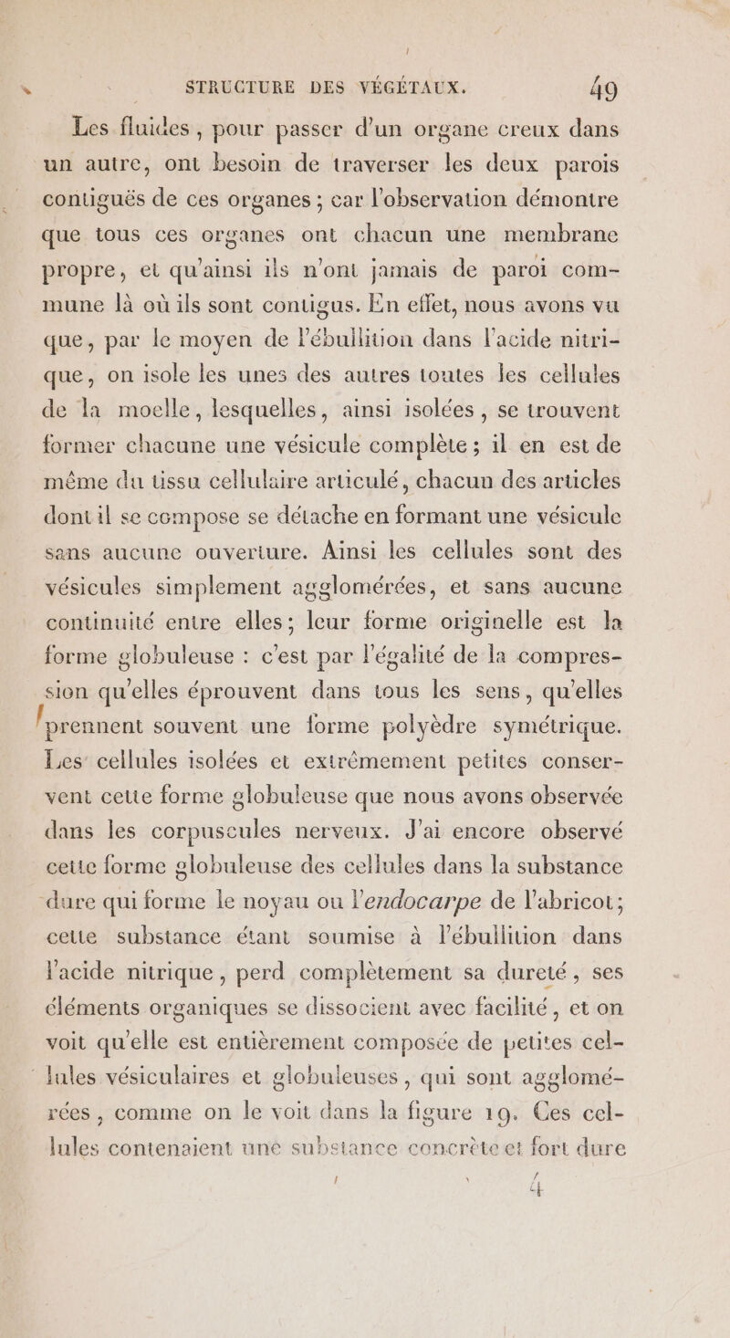 Les fluites , pour passer d’un organe creux dans un autre, ont besoin de traverser les deux parois contiguéës de ces organes ; car l'observation démontre que tous ces organes ont chacun une membrane propre, et qu'ainsi iis n'ont jamais de paroi com- mune là où ils sont contigus. En effet, nous avons vu que, par le moyen de lébulliion dans lacide nitri- que, on isole les unes des autres toutes les cellules de la moelle, lesquelles, ainsi isolées , se trouvent former chacune une vésicule complète ; il en est de même du ussu cellulaire aruiculé, chacun des articles dont il se compose se détache en formant une vésicule sans aucune ouverture. Ainsi les cellules sont des vésicules simplement agglomérées, et sans aucune continuité entre elles; leur forme originelle est la forme globuleuse : c’est par l'égalité de la compres- sion qu'elles éprouvent dans tous les sens, qu'elles prennent souvent une forme polyèdre symétrique. Les’ cellules isolées et extrêmement pettes conser- vent celte forme globuleuse que nous avons observée dans les corpuscules nerveux. J'ai encore observé cette forme globuleuse des cellules dans la substance dure qui forme le noyau ou l’erdocarpe de l’abricot; cetie substance étant soumise à leébulliion dans l'acide nitrique , perd complètement sa dureté, ses éléments organiques se dissocient avec facilité, et on voit qu'elle est entièrement composée de petites cel- Jules vésiculaires et globuleuses , qui sont agglomé- rées , comme on le voit dans la figure 19. Ces cel- lules contenaient une substance concrète et fort dure Î \ F CE