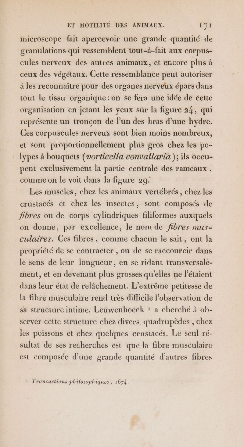 microscope fait apercevoir une grande quantité de granulations qui ressemblent tout-à-fait aux corpus- cules nerveux des autres animaux, et encore plus à ceux des végétaux. Cette ressemblance peut autoriser à les reconnaitre pour des organes nerveux épars dans tout le tissu organique : on se fera une idée de cette organisation en jetant les yeux sur la figure 24, qui représente un tronçon de l’un des bras d’une hydre. Ces corpuscules nerveux sont bien moins nombreux, et sont proportionnellement plus gros chez les po- lypes à bouquets (vorticella convallaria }; ils occu- pent exclusivement la partie centrale des rameaux , comme on le voit dans la figure 29. Les muscles, chez les animaux vertébrés, chez les crustacés et chez les insectes, sont composés de fibres ou de corps cylindriques filiformes auxquels on donne, par excellence, le nom de fibres mus- culaires. Ces fibres, comme chacun ie sait, ont la propriété de se contracter , ou de se raccourcir dans le sens de leur longueur, en se ridant transversale- ment, et en devenant plus grosses qu'elles ne l’étaient dans leur état de relâchement. L’extrême petitesse de la fibre musculaire rend très difficile l'observation de sa structure intime. Leuwenhoeck : a cherché à ob- server cette structure chez divers. quadrupèdes , chez les poissons et chez quelques crustacés. Le seul ré- sultat de ses recherches ést que la fibre musculaire est composée d'une grande quantité d'autres fibres ‘ Transactions philosophiques , 1674.