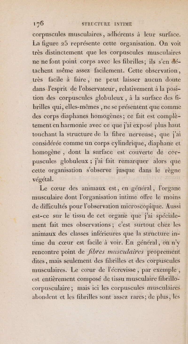 * corpuscules musculaires , adhérents à leur surface. La figure 25 représente cette organisation. On voit très distinctement que les corpuscules musculaires ne ne font point corps avec les fibrilles; ils s'en dé- tachent même assez facilement. Cette observation, très facile à faire, ne peut laisser aucun doute dans l'esprit de l'observateur, relativement à la posi- tion des corpuscules globuleux , à la surface des fi- brilles qui, elles-mêmes , ne se présentent que comme des corps diaphanes homogènes; cé fait est complè- tement en harmonie avec ce que jai exposé plus haut touchant la structure de la fibre nerveuse, que j'ai considérée comme un corps cylindrique, diaphane et homogène , dont la surface est couverte de cor- puscules globuleux ; j'ai fait remarquer alors que cette organisation s'observe jusque dans le règne végétal. : Le cœur des animaux est, en général, l'organe musculaire dont l’organisation intime offre le moins de difficultés pour l'observation microscopique. Aussi est-ce sur le tissu de cet organe que j'ai spéciale- ment fait mes observations; c’est surtout chez les animaux des classes inférieures que la structure in- time du cœur est facile à voir. En général, on ny rencontre point de fibres musculaires propremént dites , mais seulement des fibrilles et des corpuscules musculaires. Le cœur de l’écrevisse , par exemple, est entièrement composé de tissu musculaire fibrillo- corpusculaire ; mais ici les corpuscules musculaires abondent et les fibrilles sont assez rares; de plus, les