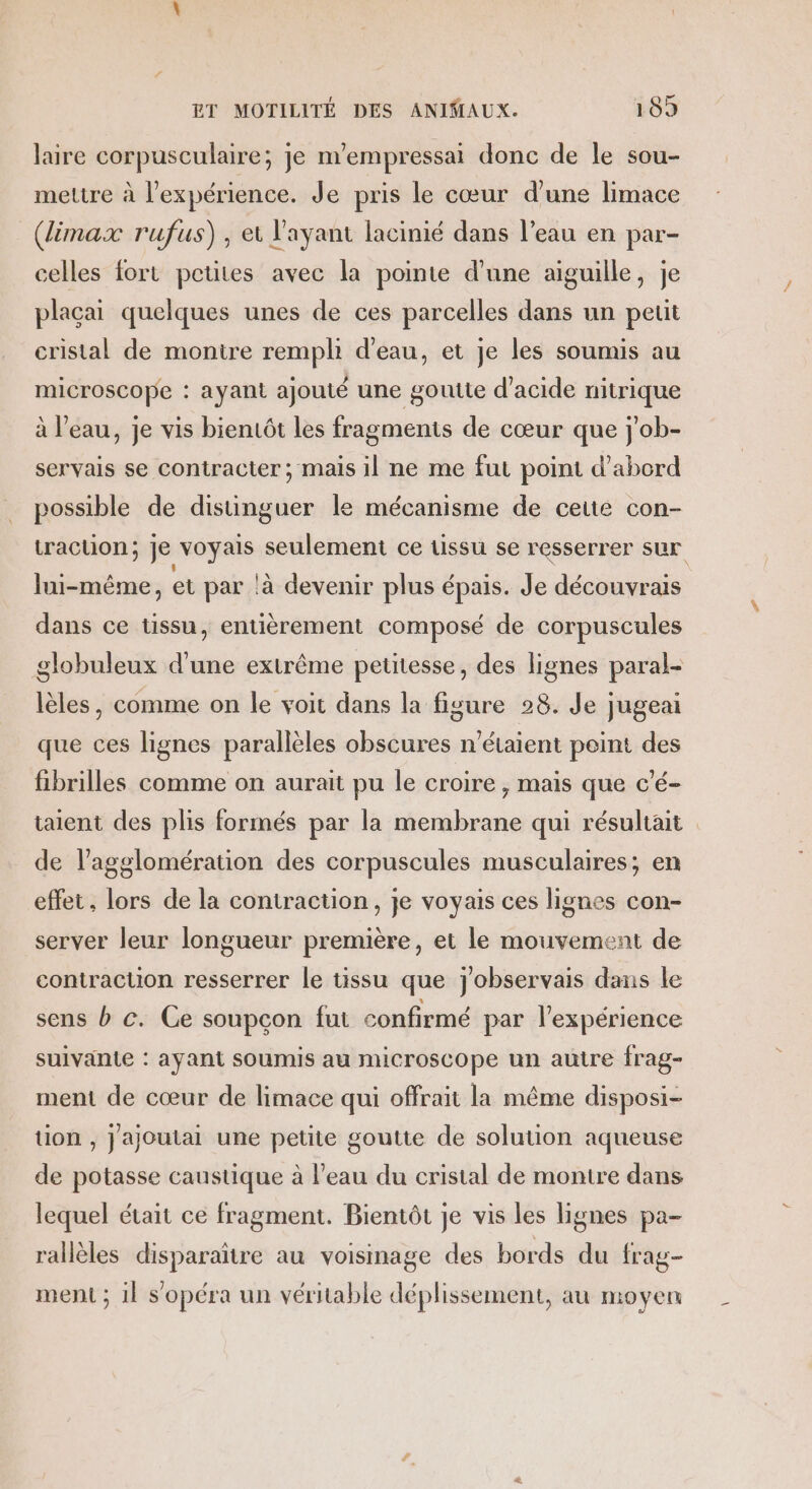 laire corpusculaire; je n’empressai donc de le sou- mettre à l'expérience. Je pris le cœur d'une limace (limax rufus), et l'ayant lacinié dans l’eau en par- celles fort petites avec la pointe d’une aiguille, je plaçai quelques unes de ces parcelles dans un petit cristal de monire rempli d'eau, et je les soumis au microscope : ayant ajouté une goutte d'acide nitrique à l’eau, je vis bientôt les fragments de cœur que j'ob- servais se contracter; mais il ne me fut point d’abord possible de distinguer le mécanisme de cette con- traction ; je voyais seulement ce ussu se resserrer sur lui-même, et par !à devenir plus épais. Je découvrais dans ce tissu, entièrement composé de corpuscules globuleux d'une extrême petitesse, des lignes paral- lèles, comme on le voit dans la figure 28. Je jugeai que ces lignes parallèles obscures n'étaient point des fibrilles comme on aurait pu le croire , mais que c’é- aient des plis formés par la membrane qui résultait de l’agglomération des corpuscules musculaires; en effet, lors de la contraction, je voyais ces lignes con- server leur longueur première, et le mouvement de contraction resserrer le tissu que j'observais dans le sens b c. Ce soupcon fut confirmé par l'expérience suivante : ayant soumis au microscope un autre frag- ment de cœur de limace qui offrait la même disposi- tion , Jajoutai une petite goutte de solution aqueuse de potasse caustique à l’eau du cristal de montre dans lequel était ce fragment. Bientôt je vis les lignes pa- rallèles disparaître au voisinage des bords du frag- ment ; 1l s’opéra un véritable déplissement, au moyen