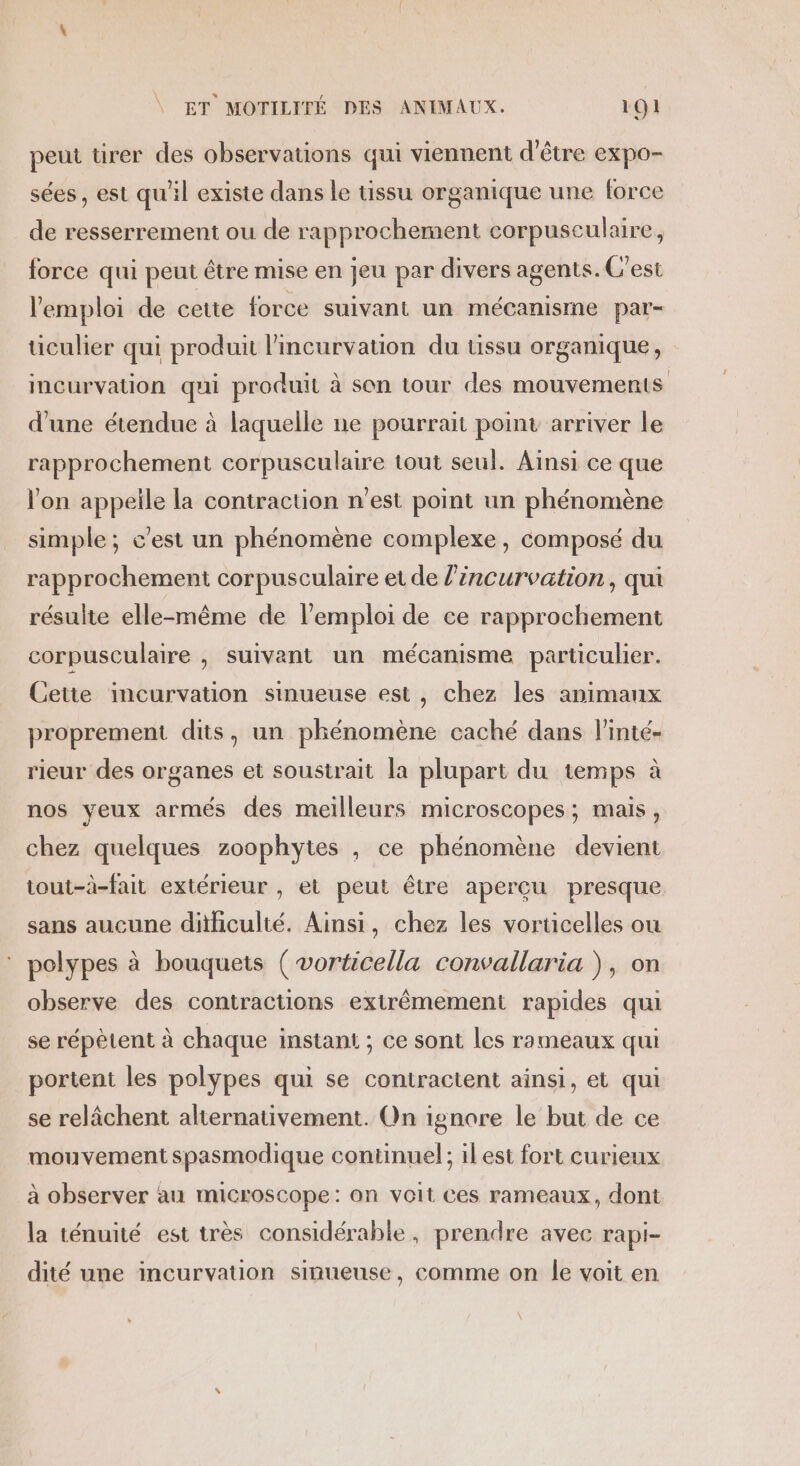 peut ürer des observations qui viennent d’être expo- sées, est qu'il existe dans le tissu organique une force de resserrement ou de rapprochement corpuseculaire, force qui peut étre mise en jeu par divers agents. C'est l'emploi de cette force suivant un mécanisme par- ticulier qui produit lincurvation du üssu organique, incurvation qui produit à son tour des mouvements d'une étendue à laquelle ne pourrait point arriver le rapprochement corpusculaire tout seul. Ainsi ce que l'on appeile la contraction n'est point un phénomène simple ; c'est un phénomène complexe, composé du rapprochement corpusculaire et de l’incurvation, qui résulte elle-même de l'emploi de ce rapprochement corpusculaire , suivant un mécanisme particulier. Cette incurvation sinueuse est, chez les animanx proprement dits, un phénomène caché dans l'inté- rieur des organes et soustrait la plupart du temps à nos yeux armés des meilleurs microscopes; mais, chez quelques zoophytes , ce phénomène devient tout-à-fait extérieur , et peut être aperçu presque sans aucune dithiculté. Ainsi, chez les vorticelles ou ‘ polypes à bouquets ( vorticella convallaria ), on observe des contractions extrêmement rapides qui se répêtent à chaque instant ; ce sont les rameaux qui portent les polypes qui se contractent ainsi, et qui se relâchent alternativement. On ignore le but de ce mouvement spasmodique continuel; il est fort curieux à observer au microscope: on voit ces rameaux, dont la ténuité est très considérable, prendre avec rapi- dité une incurvation sinueuse, comme on le voit en