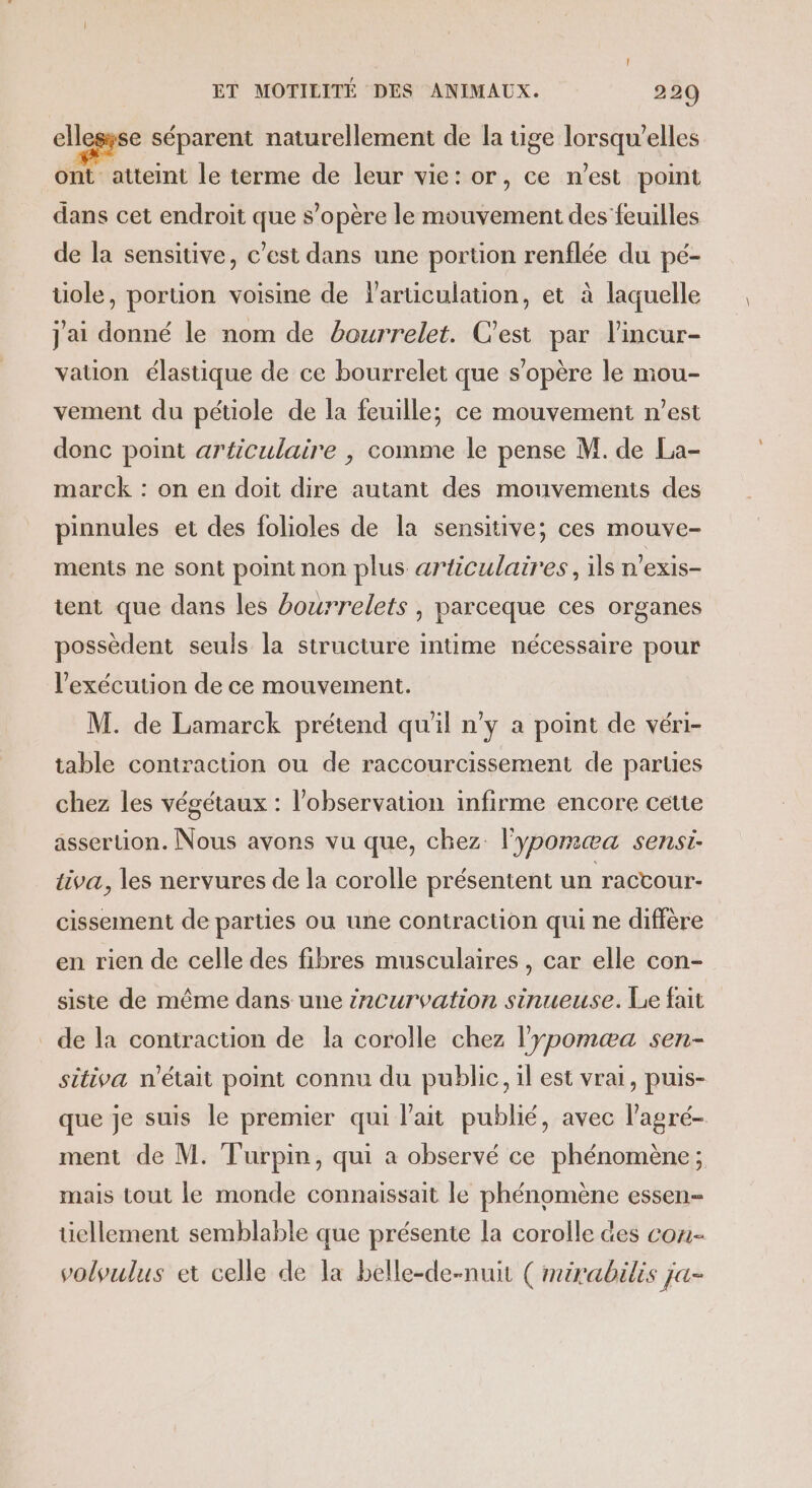 ellessse séparent naturellement de la tige lorsqu'elles ont atteint le terme de leur vie: or, ce n’est point dans cet endroit que s’opère le mouvement des feuilles de la sensitive, c’est dans une portion renflée du pé- tiole, portion voisine de l'articulation, et à laquelle j'ai donné le nom de bourrelet. Cest par l’incur- vation élastique de ce bourrelet que s'opère le mou- vement du pétiole de la feuille; ce mouvement n’est donc point articulaire , comme le pense M. de La- marck : on en doit dire autant des mouvements des pinnules et des folioles de la sensitive; ces mouve- ments ne sont point non plus articulaires, ils n'exis- tent que dans les bourrelets , parceque ces organes possèdent seuls la structure intime nécessaire pour l'exécution de ce mouvement. M. de Lamarck prétend qu'il n’y a point de véri- table contraction ou de raccourcissement de parties chez les végétaux : l'observation infirme encore cette asseruon. Nous avons vu que, chez. lypormæa sensi. tiva, les nervures de la corolle présentent un ractour- cissement de parties ou une contraction qui ne diffère en rien de celle des fibres musculaires , car elle con- siste de même dans une #nCurvation sinueuse. Le fait de la contraction de la corolle chez l'ypomæa sen- sitiva n'était point connu du public, il est vrai, puis- que je suis le premier qui lait publié, avec l'agré- ment de M. Turpin, qui à observé ce phénomène; mais tout le monde connaissait le phénomène essen-- üellement semblable que présente la corolle des con- volvulus et celle de la belle-de-nuit (méirabilis ja-