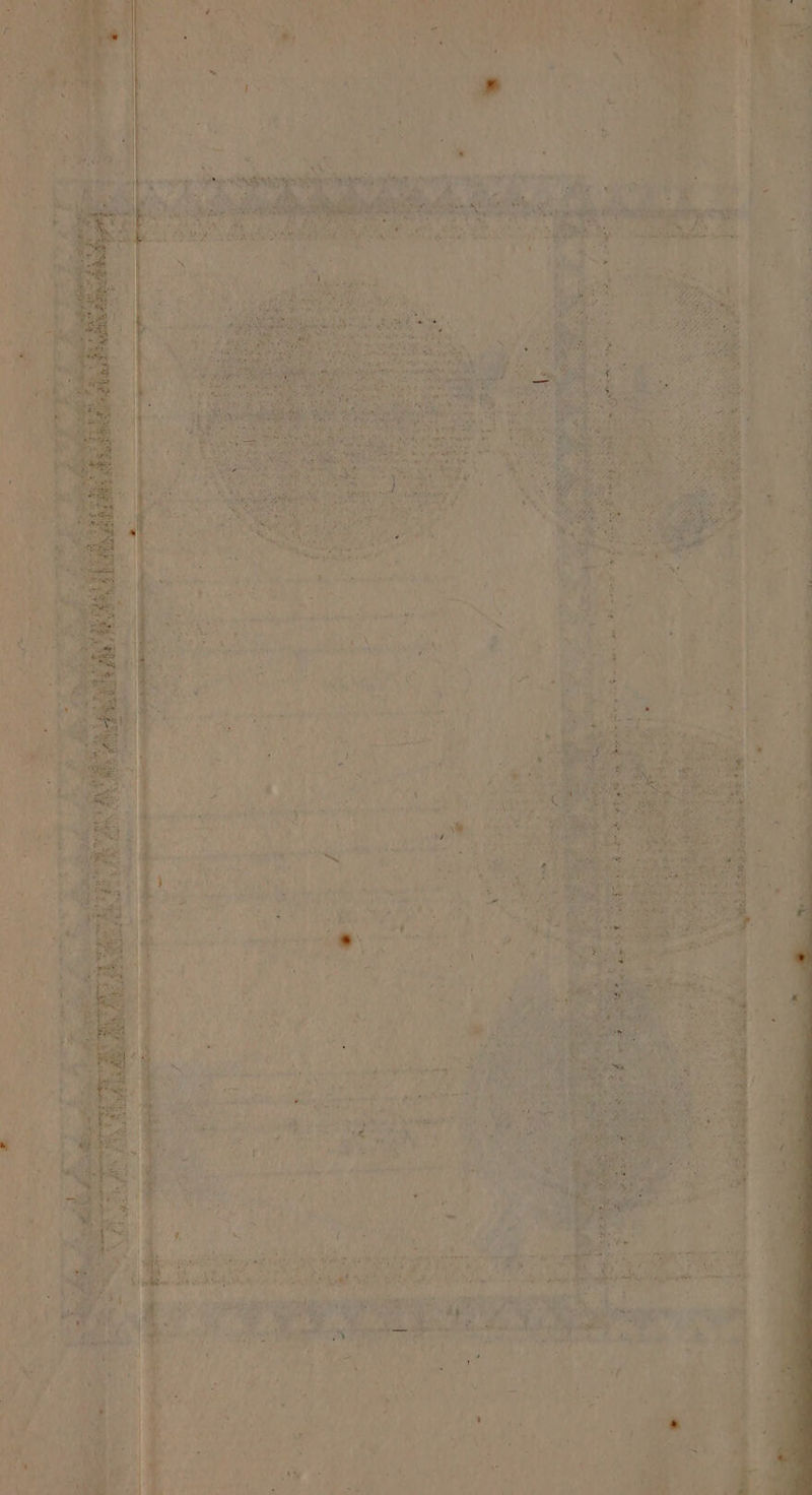 pures , \ LAURE Fe null vT # 2 1 7 7 UN Te LS LV PR EURE Loan