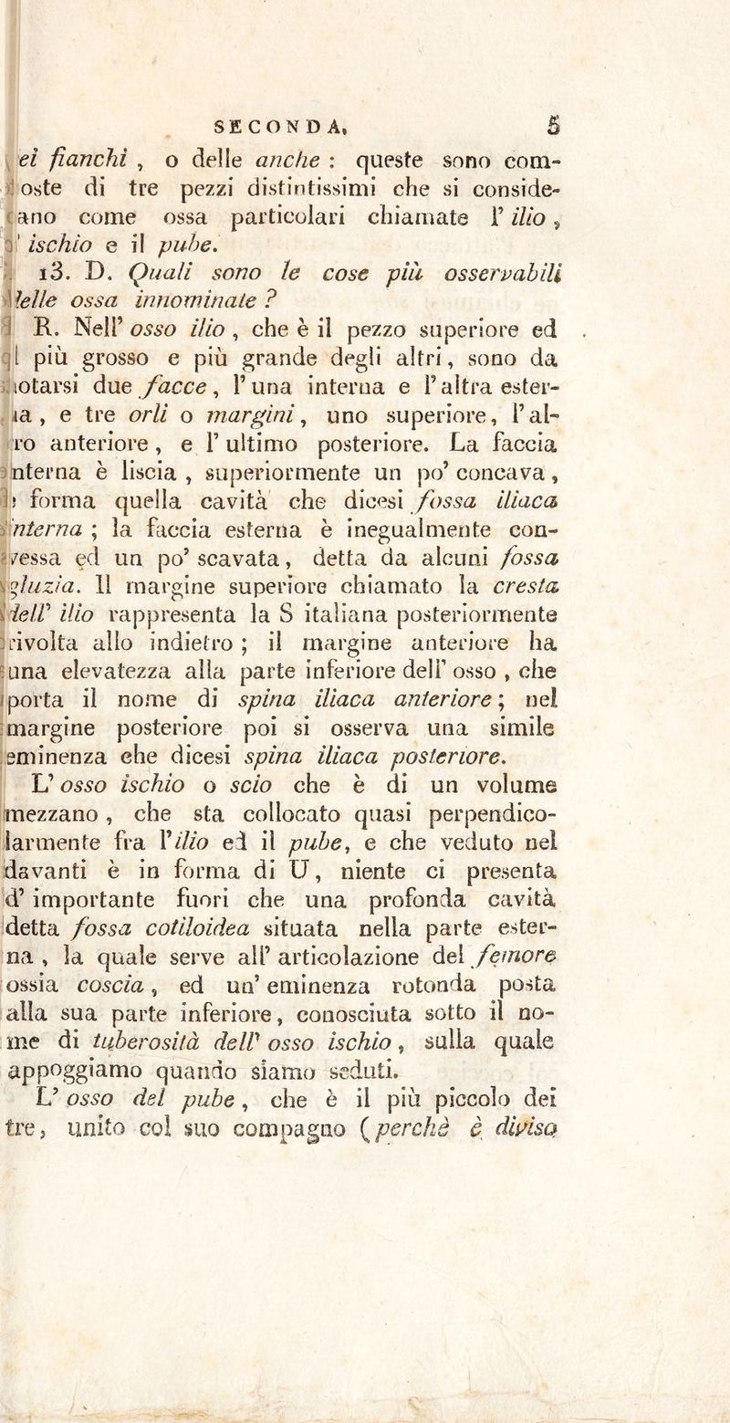 ei fianchi , o delle anche : queste sono coni- oste di tre pezzi distintissimi che si conside- ano come ossa particolari chiamate ¥ ilio, ischio e il pube. i3. D. Quali sono le cose pili osservabili .1 ielle ossa innominate ? 3 R. Nell* osso ilio , che è il pezzo superiore ed t più grosso e più grande degli altri*, sono da totarsi due facce, Funa interna e l’altra oster- ia , e tre orli o margini, uno superiore, l’at- ro anteriore, e F ultimo posteriore. La faccia interna è liscia , superiormente un po’ concava, ti forma quella cavità che dicesi fossa iliaca nterna ; la faccia esterna è inegualmente con- cessa ed un po’ scavata, detta da alcuni fossa gÌLizia. Il margine superiore chiamato la cresta HeIV ìlio rappresenta la S italiana posteriormente àvolta allo indietro ; il margine anteriore ha una elevatezza alla parte inferiore dell1 osso , che porta il nome di spina iliaca anteriore ; ne! margine posteriore poi si osserva una simile eminenza che dicesi spina ilìaca posteriore. L’osso ìschio o scio che è di un volume mezzano, che sta collocato quasi perpendico- larmente fra Pilio ed il pube, e che veduto nel davanti è in forma di U, niente ci presenta d’ importante fuori che una profonda cavità detta fossa cotiloidea situata nella parte ester- na , la quale serve ali’articolazione del femore ossia coscia, ed un’ eminenza rotonda posta alla sua parte inferiore, conosciuta sotto il no- me di tuberosità deW osso ischio, sulla quale appoggiamo quando siamo seduti. & osso del pube, che è il più piccolo dei tre, unito col suo compagno (perchè è. divisa