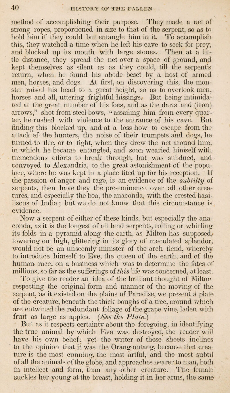 method of accomplishing their purpose. They made a net of strong ropes, proportioned in size to that of the serpent, so as to hold him if they could but entangle him in it. To accomplish this, they watched a time when he left his cave to seek for prey, and blocked up its mouth with large stones. Then at a lit¬ tle distance, they spread the net over a space of ground, and kept themselves as silent as as they could, till the serpent’s return, when he found his abode beset by a host of armed men, horses, and dogs. At first, on discovering this, the mon¬ ster raised his head to a great height, so as to overlook men, horses and all, utterino: frightful hissings. But being intiinida- ted at the great number of his foes, and as the darts and (iron) arrows,” sliot from steel bows, assailing him from every quar¬ ter, he rushed with violence to the entrance of his cave. But finding this blocked up, and at a loss how to escape from the attack of the hunters, the noise of their trumpets and dogs, he turned to flee, or to fight, when they drew the net around him, in which he became entangled, and soon wearied liimself with tremendous efforts to break through, but was subdued, and conveyed to Alexandria, to the great astonishment of the popu¬ lace, where he was kept in a place fited up for his reception. If the passion of anger and rage, is an evidence of the suhiilty of serpents, then have they the pre-eminence over ail other crea¬ tures, and especially the boa, the anaconda, with the crested basi- liscus of India ; but wo do not know that this circumstance is, evidence. Now a serpent of either of these kinds, but especially the ana¬ conda, as it is the longest of all land serpents, rolling or whirling its folds in a pyramid along the «arth, as Milton lias supposed^ towering on high, glittering in its glory of maculated splendor, would not be an unseemly minister of the arch fiend, whereby to introduce himself to Eve, the queen of the earth, and of the human race, on a business which was to determine the fates of millions, so far as the sufferings of this life was concerned, at least. To give the reader an idea of the brilliant thought of Milton respecting the original form and manner of the moving of the serpent, ’as it existed on the plains of Paradise, we present a plate of the creature, beneath the thick boughs of a tree, around which are entwined the redundant foliage of the grape vine, laden with fruit as large as apples. [See the Plate.) But as it respects certainty about the foregoing, in identifying the true animal by which Eve was destroyed, the reader will have his own belief; yet the writer of these sheets inclines to the opinion that it was the Orang-outang, because that crea¬ ture is the most cunning, the most artful, and the most subtil of all the animals of the globe, and approaches nearer to man, both hi intellect and form, than any other creature. The female suckles her young at the breast, holding it in her arms, the same