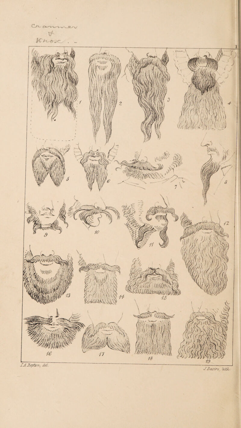 lA JL^tOTV, dAL. JBasvre, Uifu.-