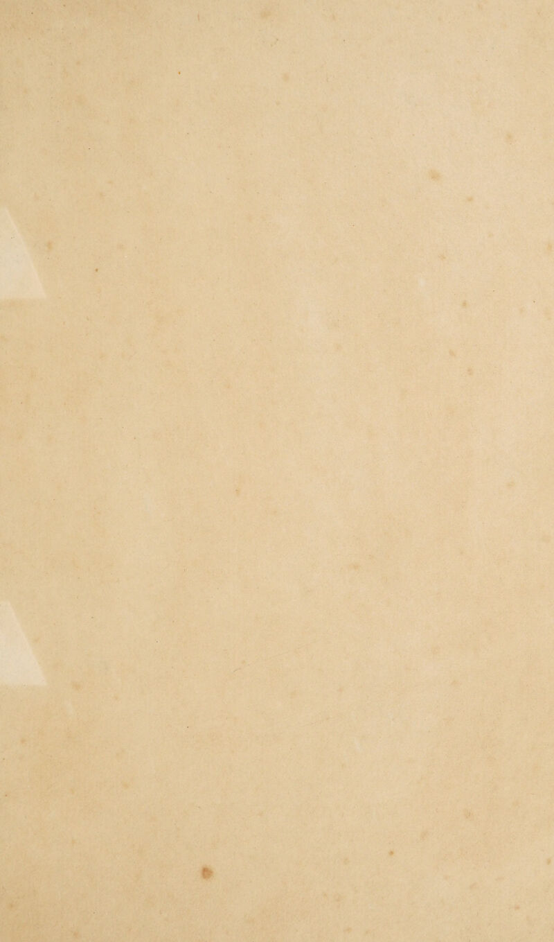 17 .t', t % St f > K I >. , .-V S.