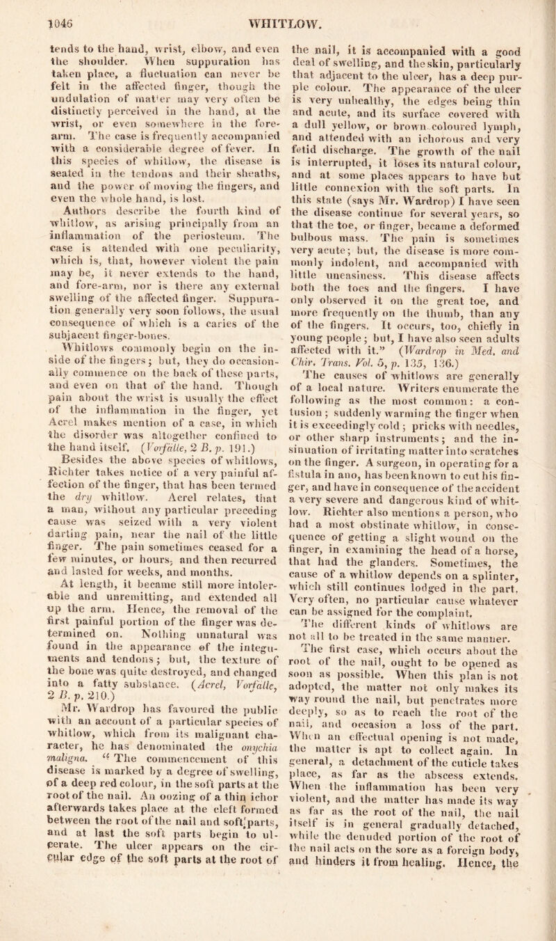 tends to the hand, wrist, elbow, and even the shoulder. When suppuration lias taken place, a fluctuation can never be felt in the affected finger, though the undulation of mat'er may very often be distinctly perceived in the hand, at the wrist, or even somewhere in the fore- arm. The case is frequently accompanied with a considerable degree of fever. In this species of whitlow, the disease is seated in the tendons and their sheaths, and the power of moving the fingers, and even the whole hand, is lost. Authors describe the fourth kind of whitlow, as arising principally from an Inflammation of the periosteum. The case is attended with one peculiarity, which is, that, however violent the pain may be, it never extends to the hand, and fore-arm, nor is there any external swelling of the affected finger. Suppura- tion generally very soon follows, the usual consequence of which is a caries of the subjacent finger-bones. Whitlows commonly begin on the in- side of the fingers; but, they do occasion- ally commence on the back of these parts, and even on that of the hand. Though pain about the wrist is usually the effect of the inflammation in tlie finger, yet Acrel makes mention of a case, in which the disorder was altogether confined to the hand itself. (Vorfdlle, 2 B. p. 191.) Besides the above species of whitlows, R ich ter takes notice of a very painful af- fection of the finger, that lias been termed the dry whitlow. Acrel relates, that a man, without any particular preceding cause was seized wish a very violent darting pain, near the nail of the little finger. The pain sometimes ceased for a few minutes, or hours, and then recurred and lasted for weeks, and months. At length, it became still more intoler- able and unremitting, and extended all up the arm. Hence, the removal of the first painful portion of the finger was de- termined on. Nothing unnatural was found in the appearance of the integu- ments and tendons; but, the texture of the bone was quite destroyed, and changed into a fatty substance. (Acrel, Vorfdlle, 2 B. p, 210.) ' ’ Mr. Wardrop has favoured the public with an account of a particular species of whitlow, which from its malignant cha- racter, he has denominated the onychia maligna. (( The commencement of this disease is marked by a degree of swelling, of a deep red colour, in the soft parts at the root of the nail. An oozing of a thin ichor afterwards takes place at the cleft formed between the root of the nail and soft-parts, arid at last the soft parts begin to ul- cerate. The ulcer appears on the cir- cular edge of the soft parts at the root of the nail, it is accompanied with a good deal of swelling, and the skin, particularly that adjacent to the ulcer, has a deep pur- ple colour. The appearance of the ulcer is very unhealthy, the edges being thin and acute, and its surface covered with a dull yellow, or brown coloured lymph, and attended with an ichorous and very fetid discharge. The growth of the nail is interrupted, it loses its natural colour, and at some places appears to have but little connexion with the soft parts. In this stale (says Mr. Wardrop) I have seen the disease continue for several years, so that the toe, or finger, became a deformed bulbous mass. The pain is sometimes very acute; hut, the disease is more com- monly indolent, and accompanied with little uneasiness. This disease affects both the toes and the fingers. I have only observed it on the great toe, and more frequently on the thumb, than any of the fingers. It occurs, too, chiefly in young people; hut, I have also seen adults affected with it.” (Wardrop in Med. and Chir. Trans. Vol. 5, p. 135, 136.) 'fhe causes of whitlows are generally of a local nature. Writers enumerate the following as the most common; a con- tusion ; suddenly warming the finger when it is exceedingly cold ; pricks with needles, or other sharp instruments; and the in- sinuation ot irritating matter into scratches on the finger. A surgeon, in operating for a fistula in ano, has been known to cut his fin- ger, and have in consequence of the accident a very severe and dangerous kind of whit- low. Richter also mentions a person, who had a most obstinate whitlow, in conse- quence of getting a slight wound on the finger, in examining the head of a horse, that had the glanders. Sometimes, the cause of a whitlow depends on a splinter, which still continues lodged in the part, Very often, no particular cause whatever can he assigned for the complaint. The different kinds of whitlows are not all to be treated in the same manner. The first case, which occurs about the root of the nail, ought to be opened as soon as possible. When this plan is not adopted, the matter not only makes its way round the nail, hut penetrates more deeply, so as to reach the root of the nail, and occasion a loss of the part. IVhen an effectual opening is not made, the matter is apt to collect again. In general, a detachment of the cuticle takes place, as far as the abscess extends. When the inflammation has been very violent, and the matter has made its way as far as the root of the nail, the nail itself is in general gradually detached, while the denuded portion of the root of the nail acts on the sore as a foreign body^ and hinders it from healing. Hence* the