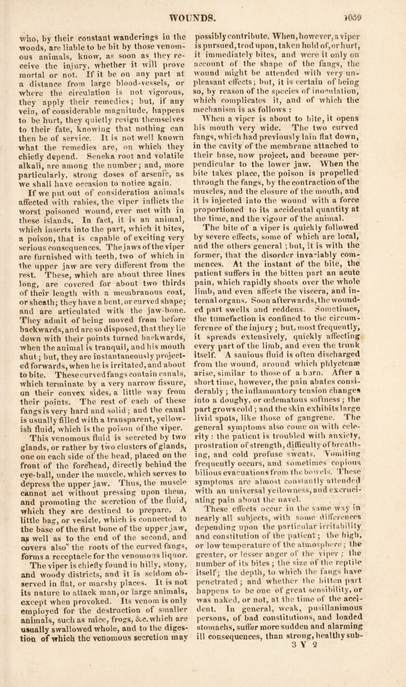 who, by their constant wanderings in the woods, are liable to be bit by those venom- ous animals, know, as soon as they re- ceive the injury, whether it will prove mortal or not. If it be on any part at a distance from large blood-vessels, or where the circulation is not vigorous, they apply their remedies; but, if any vein, of considerable magnitude, happens to be hurt, they quietly resign themselves to their fate, knowing that nothing can then be of service. It is not well known what the remedies are, on which they chiefly depend. Seneka root and volatile alkali, are among the number; and, more particularly, strong doses of arsenic, as we shall have occasion to notice again. If we put out of consideration animals affected with rabies, the viper inflicts the worst poisoned wound, ever met with in these islands. In fact, it is an animal, which inserts into the part, which it bites, a poison, that is capable of exciting very serious consequences. Thejaws ofthe viper are furnished with teeth, two of which in the ripper jaw are very different from the rest. These, which are about three lines long, are covered for about two thirds of their length with a membranous coat, or sheath; they have a bent, or curved shape; and are articulated with the jaw-bone. They admit of being moved from before backwards,and areso disposed, that they lie down with their points turned backwards, when the animal is tranquil, and his mouth shut; but, they are instantaneously project- ed forwards, when he is irritated, and about to bite. Thesecurvedfangs contain canals, which terminate by a very narrow fissure, on their convex sides, a little way from their points. The rest of each of these fangs is very hard and solid; and the canal is usually filled with a transparent, yellow- ish fluid, which is the poison ofthe viper. This venomous fluid is secreted by two glands, or rather by two clusters of glands, one on each side of the head, placed on the front of the forehead, directly behind the eye-ball, under the muscle, which serves to depress the upper jaw. Thus, the muscle cannot act without pressing upon them, and promoting the secretion of the fluid, which they are destined to prepare. A little bag, or vesicle, which is connected to the base of the first bone of the upper jaw, as well as to the end of the second, and covers also”1 the roots of the curved fangs, forms a receptacle for the venomous liquor. The viper is chiefly found in hilly, stony, and woody districts, and it is seldom ob- served in flat, or marshy places. It is not its nature to attack man,or large animals, except when provoked. Its venom is only employed for the destruction of smaller animals, such as mice, frogs, &c. which are usually swallowed whole, and to the diges- tion of which the venomous secretion may possibly contri bute. When, however, a viper is pursued, trod upon, taken hold of, or hurt, it immediately bites, and were it only on account of the shape of the fangs, the wound might be attended with very un- pleasant effects; but, it is certain of being so, by reason of the species of inoculation, which complicates it, and of which the mechanism is as follows : When a viper is about to bite, it opens his mouth very wide. The two curved fangs, which had previously lain flat down, in the cavity of the membrane attached to tiieir base, now project, and become per- pendicular to the lower jaw. When the bite takes place, the poison is propelled through the fangs, by the contraction ofthe muscles, and the closure of the mouth, and it is injected into the wound with a force proportioned to its accidental quantity at the time, and the vigour of the animal. The bite of a viper is quickly followed by severe effects, some of which are local, and the others general ;but, it is with the former, that the disorder invariably com- mences. At the instant of the bile, the patient suffers in the bitten part an acute pain, which rapidly shoots over the whole limb, and even affects the viscera, and in- ternal organs. Soon afterwards,the wound- ed part swells and reddens. Sometimes, the tumefaction is confined to the circum- ference of the injury; but, most frequently, it spreads extensively, quickly affecting every part of the limb, and even the trunk itself. A sanious fluid is often discharged from the wound, around which phlyctense arise, similar to those of a barn. After a short time, however, the pain abates consi- derably ; the inflammatory tension changes into a doughy, or cedematous softness ; the part grows cold ; and the skin exhibits large livid spots, like those of gangrene. The general symptoms also come on with cele- rity : the patient is troubled with anxiety, prostration of strength, difficulty of breath- ing, and cold profuse sweats. Vomiting frequently occurs, and sometimes copious bilious evacuations from the bowels. These symptoms are almost constantly attended with an universal yellowness, and excruci- ating pain about the navel. These effects occur in the same way in nearly all subjects, with some differences depending upon the particular irritability and constitution of the patient; the high, or low temperature of the atmosphere; the greater, or lesser anger of the viper ; the number of its bites ; the size of the reptile itself; the depth, to which the fangs have penetrated; and whether the bitten part happens to be one of great sensibility, or was naked, or not, at the time of the acci- dent. In general, weak, pusillanimous persons, of bad constitutions, and loaded stomachs, suffer more sudden and alarming ill consequences, than strong, healthy sub- 3 Y 2