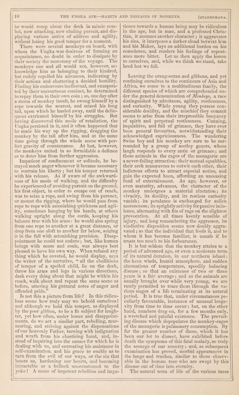 10 THE UNGKA APE—HABITS AND DISEASES OF MONKEYS. [quadrumana. he would romp about the deck in mimic com¬ bat, now attacking, now eluding pursuit, and dis¬ playing Yarious antics of address and agility, without losing his good temper for a moment. There w'ere several monkeys on board, with whom the Ungka was desirous of forming an acquaintance, no doubt in order to dissipate by their society the monotony of the voyage. The monkeys one and all would not, however, ac¬ knowledge him as belonging to their kindred, but rudely repelled his advances, indicating by their actions and chattering a decided hostility. Finding his endeavours ineffectual, and exaspera¬ ted by their uncourteous conduct, he determined to repay them in their own coin ; so, one day after a storm of monkey insult, he swung himself by a rope towards the nearest, and seized his long tail, upon which he hauled away, until the delin- ([uent extricated himself by his struggles. But having discovered this mode of retaliation, the Ungka persisted in it, and it often happened that he made his way up the rigging, dragging the monkey by the tail after him, and at the same time going through the whole scene with per¬ fect gravity of countenance. At last, however, the monkeys united in so formidable a defence as to deter him from further aggression. Impatient of confinement or solitude, he be¬ trayed much anger whenever it became necessary to restrain his liberty; but his temper returned with his release. As if aware of the awkward¬ ness of his mode of walking, and the difficulty he experienced of avoiding pursuit on the ground, his first object, in order to escape out of reach, was to seize a rope, and swing from his pursuer, or mount the rigging, where he would pass from rope to rope with astonishing quickness and agil¬ ity, sometimes hanging by his hands, at others i walking upright along the cords, keeping his balance true Avith his arms: he would also spring from one rope to another at a great distance, or drop from one aloft to another far below, seizing it in the fall with astonishing precision. Disap¬ pointment he could not endure; but, like human beings with sense and souls, was always best pleased to have his own way. When refused any thing which he coA^eted, he would display, says the AAU’iter of the narrathm, “ all the ebullitions of temper of a spoiled child, lie on the deck, throw his arms and legs in various directions, dash every thing about that might be within his reach, walk about and repeat the same scene as before, uttering his guttural notes of anger and offended pride.” Is not this a picture from life ? In this ridicu¬ lous scene how truly may we behold ourselves! and although we hold this temper, as displayed by the poor gibbon, to be a fit subject for laugh¬ ter, yet how often, under losses and disappoint¬ ments, do we act a similar part, rebelling, mur¬ muring, and striving against the dispensations of our heavenly Father, turning with indignation and wrath from his chastising hand, and, in¬ stead of inquiring into the causes for which he is dealing with us, and entreating his assistance in self-examination, and his grace td enable us to turn from the evil of our ways, or the sin that besets us, hardening our hearts, and becoming intractable as a bullock unaccustomed to the il_ _ . tience towards a human being may be ridiculous in the ape, but in man, and a professed Chris¬ tian, it assumes another character ; it aggravates his sins, it interposes a darker cloud betwixt him and his Maker, lays an additional burden on his conscience, and renders his feelings of repent¬ ance more bitter. Let us then apply the lesson to ourselves, and, while Ave think we stand, take heed lest we fall. LeaYing the orang-outan and gibbons, and yet confining ourselves to the continents of Asia and Africa, we come to a multitudinous family, the different species of which are comprehended un¬ der the general denomination of Monkeys, a race distinguished by adroitness, agility, restlessness, and curiosity. While young they possess con¬ siderable docility, and the mischief they commit seems to arise from their irrepressible buoyancy of spirit and perpetual restlessness. Cunning, inquisitive, and full of grimace, they have ever been general favourites, notwithstanding their acknowledged capriciousness. The wandering Swiss boy and his monkey are sure to be sur¬ rounded by a group of motley gazers, whose laugh responds to every antic or grimace; and these animals in the cages of the menagerie are a never-failing attraction: their mutual squabbles, their arch manoeuvres to outwit each other, their ludicrous efforts to attract especial notice, and gain the expected boon, affording an unceasing fund of entertainment. As age, however, or even maturity, advances, the character of the monkey undergoes a material alteration; its vivacity, its docility, and its restless curiosity vanish; its petulance is exchanged for sullen moroseness; its sprightly actmty for passive indo¬ lence, alternating with fits of rage on the slightest provocation. At all times keenly sensible of injury, and long remembering the aggressor, its vindictive disposition seems now doubly aggra¬ vated ; so that the individual that feeds it, and to whom it has become familiar, is unsafe if he trusts too much to his forbearance. It is but seldom that the monkey attains to a period of advanced age, or even a moderate term of its natural duration, in our northern island: the keen winds, humid atmosphere, and sudden alternations of temperature, speedily inducing disease ; so that an existence of two or three years is a fair average: and as the animals are usually brought over while very young, we are rarely permitted to trace them through the va¬ rious stages of a life terminating at its natural period. It is true that, under circumstances pe¬ culiarly favourable, instances of unusual longe¬ vity from time to time occur ; but, on the other hand, numbers drag on, for a few months only, a wTetched and painful existence. The prevail¬ ing disease which depopulates the monkey-cages of the menagerie is pulmonary consumption. By far the greater number of those, which it has been our lot to dissect, have exhibited before death the symptoms of this fatal malady, so truly the scourge of our country; and, as subsequent examination has proved, morbid appearances in the lungs and trachea, similar to those observ¬ able in the human race who are swept by this disease out of time into eternitAc