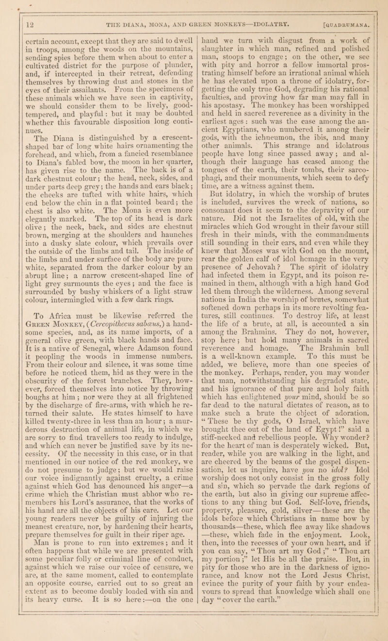 certain account, except that they are said to dwell in troops, among the woods on the mountains, sending spies before them when about to enter a cultivated district for the purpose of plunder, and, if intercepted in their retreat, defending themselves by throwing dust and stones in the eyes of their assailants. From the specimens of these animals which we have seen in captivity, we should consider them to be lively, good- tempered, and playful: but it may be doubted whether this favourable disposition long conti¬ nues. The Diana is distinguished by a crescent¬ shaped bar of long white hairs ornamenting the forehead, and which, from a fancied resemblance to Diana’s fabled bow, the moon in her quarter, has given rise to the name. The back is of a dark chestnut colour; the head, neck, sides, and under parts deep grey; the hands and ears black; the cheeks are tufted with white hairs, which end below the chin in a flat pointed beard; the chest is also white. The Mona is even more elegantly marked. The top of its head is dark olive; the neck, back, and sides are chestnut brown, merging at the shoulders and haunches into a dusky slate colour, which prevails over the outside of the limbs and tail. The inside of the limbs and under surface of the body are pure white, separated from the darker colour by an abrupt line; a narrow crescent-shaped line of light grey surmounts the eyes ; and the face is surrounded by bushy whiskers of a light straw colour, intermingled with a few dark rings. To Africa must be likewise referred the Green Monkey, {Cercopithecus sabcsus,) a hand¬ some species, and, as its name imports, of a general olive green, with black hands and face. It is a native of Senegal, where Adamson found it peopling the woods in immense numbers. From their colour and silence, it was some time before he noticed them, hid as they were in the obscurity of the forest branches. They, how¬ ever, forced themselves into notice by throwing boughs at him ; nor were they at all frightened by the discharge of fire-arms, with which he re¬ turned their salute. He states himself to have killed twenty-three in less than an hour; a mur¬ derous destruction of animal life, in which we are sorry to find travellers too ready to indulge, and which can never be justified save by its ne¬ cessity. Of the necessity in this case, or in that mentioned in our notice of the red monkey, we do not presume to judge; but we would raise our voice indignantly against cruelty, a crime against which God has denounced his anger—a crime which the Christian must abhor who re¬ members his Lord’s assurance, that the works of his hand are all the objects of his care. Let our young readers never be guilty of injuring the meanest creature, nor, by hardening their hearts, prepare themselves for guilt in their riper age. Man is prone to run into extremes ; and it often happens that while we are presented with some peculiar folly or criminal line of conduct, against which we raise our voice of censure, we are, at the same moment, called to contemplate an opposite course, carried out to so great an extent as to become doubly loaded with sin and its heavy curse. It is so here:—on the one hand we turn with disgust from a work of slaughter in which man, refined and polished man, stoops to engage; on the other, we see with pity and horror a fellow immortal pros¬ trating himself before an irrational animal which he has elevated upon a throne of idolatry, for¬ getting the only true God, degrading his rational faculties, and proving how far man may fall in his apostasy. The monkey has been worshipped and held in sacred reverence as a divinity in the earliest ages : such was the case among the an¬ cient Egyptians, who numbered it among their gods, with the ichneumon, the ibis, and many other animals. This strange and idolatrous people have long since passed away; and al¬ though their language has ceased among the tongues of the earth, their tombs, their sarco¬ phagi, and their monuments, which seem to defy time, are a witness against them. But idolatry, in which the worship of brutes is included, survives the wreck of nations, so consonant does it seem to the depravity of our nature. Did not the Israelites of old, with the miracles which God wrought in their favour still fresh in their minds, with the commandments still sounding in their ears, and even while they knew that Moses was with God on the mount, rear the golden calf of idol homage in the very presence of Jehovah ? The spirit of idolatry had infected them in Egypt, and its poison re¬ mained in them, although with a high hand God led them through the wilderness. Among several nations in India the worship of brutes, somewhat softened down perhaps in its more revolting fea¬ tures, still continues. To destroy life, at least the life of a brute, at all, is accounted a sin among the Brahmins. They do not, however, stop here; but hold many animals in sacred reverence and homage. The Brahmin bull is a well-known example. To this must be added, we believe, more than one species of the monkey. Perhaps, reader, you may wonder that man, notwithstanding his degraded state, and his ignorance of that pure and holy faith which has enlightened i/our mind, should be so far dead to the natural dictates of reason, as to make such a brute the object of adoration. “ These be thy gods, O Israel, which have brought thee out of the land of Egypt!” said a stiff-necked and rebellious people. Why wonder? for the heart of man is desperately wicked. But, reader, while you are walking in the light, and are cheered by the beams of the gospel dispen¬ sation, let us inquire, have you no idol? Idol worship does not only consist in the gross folly and sin, which so pervade the dark regions of the earth, but also in giving our supreme affec¬ tions to any thing but God. Self-love, friends, property, pleasure, gold, silver—these are the idols before which Christians in name bow by thousands—these, which flee away like shadows —these, which fade in the enjoyment. Look, then, into the recesses of your own heart, and if you can say, “ Thou art my God “ Thou art my portionlet His be all the praise. But, in pity for those who are in the darkness of igno¬ rance, and know not the Lord Jesus Christ, evince the purity of your faith by your endea¬ vours to spread that knowledge which shall one day “ cover the earth.” I