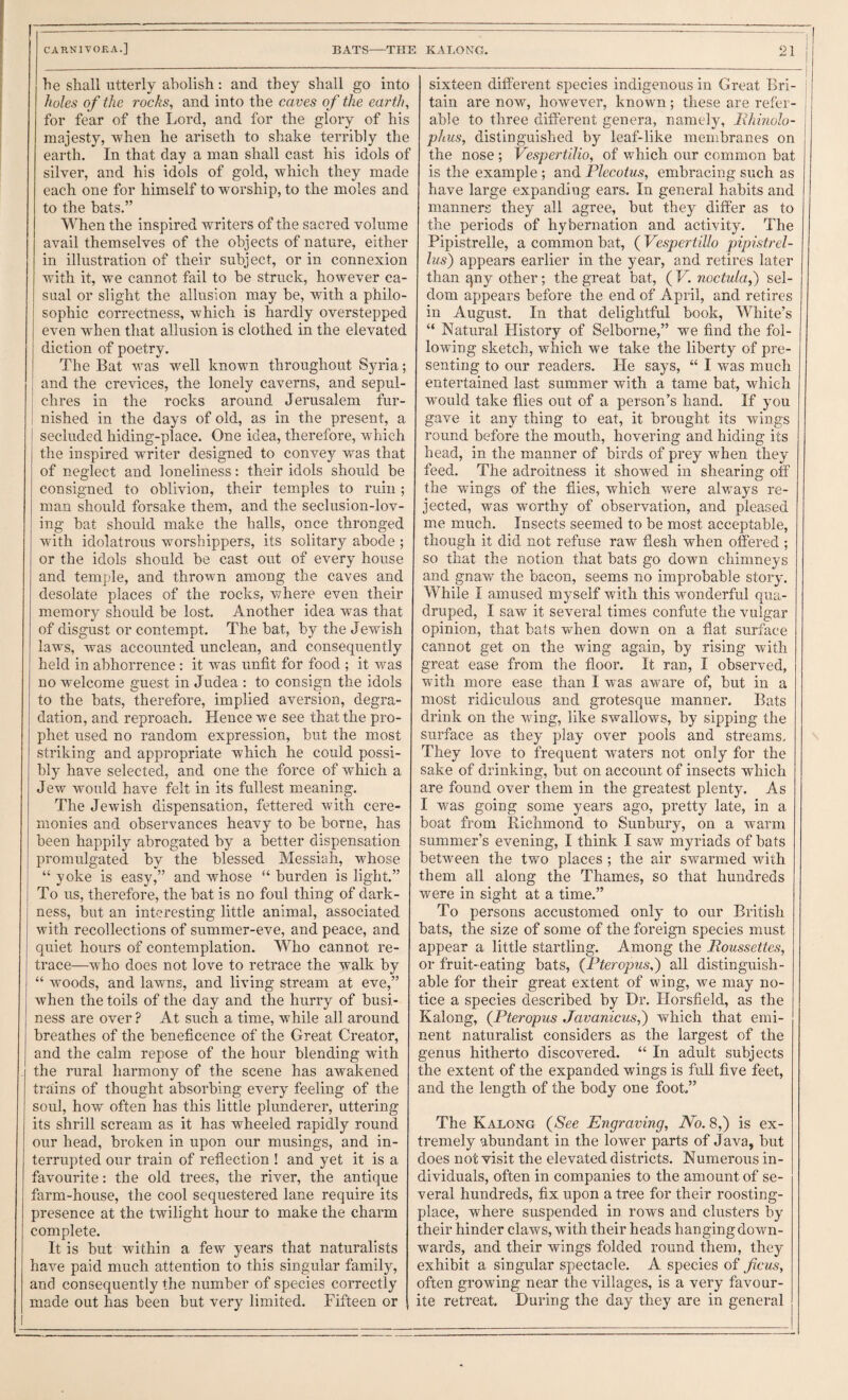 1-----: CARNIVOKA.] BATS—THE KALONG. 21 j lie shall utterly abolish: and they shall go into holes of the rocks, and into the caves of the earth, for fear of the Lord, and for the glory of his majesty, -when he ariseth to shake terribly the earth. In that day a man shall cast his idols of silver, and his idols of gold, which they made each one for himself to worship, to the moles and to the hats.” When the inspired writers of the sacred volume avail themselves of the objects of nature, either in illustration of their subject, or in connexion with it, we cannot fail to he struck, however ca¬ sual or slight the allusion may be, with a philo¬ sophic correctness, which is hardly overstepped even when that allusion is clothed in the elevated diction of poetry. The Bat was well known throughout Syria; and the crevices, the lonely caverns, and sepul- j chres in the rocks around Jerusalem fur¬ nished in the days of old, as in the present, a secluded hiding-place. One idea, therefore, which the inspired writer designed to convey was that of neglect and loneliness: their idols should be consigned to oblivion, their temples to ruin ; man should forsake them, and the seclusion-lov¬ ing hat should make the halls, once thronged with idolatrous worshippers, its solitary abode ; or the idols should be cast out of every house and temple, and thrown among the caves and desolate places of the rocks, where even their memory should be lost. Another idea was that of disgust or contempt. The hat, by the Jewish laws, was accounted unclean, and consequently held in abhorrence : it was unfit for food ; it was no welcome guest in Judea : to consign the idols to the bats, therefore, implied aversion, degra¬ dation, and reproach. Hence we see that the pro¬ phet used no random expression, hut the most striking and appropriate which he could possi¬ bly have selected, and one the force of which a Jew would have felt in its fullest m.eaning. The Jewish dispensation, fettered with cere¬ monies and observances heavy to be borne, has been happily abrogated by a better dispensation promulgated by the blessed Messiah, whose “ yoke is easy,” and whose “ burden is light.” To us, therefore, the bat is no foul thing of dark- 1 ness, but an interesting little animal, associated with recollections of summer-eve, and peace, and quiet hours of contemplation. Who cannot re¬ trace—who does not love to retrace the walk by “ woods, and lawns, and living stream at eve,” when the toils of the day and the hurry of busi¬ ness are over ? At such a time, while all around breathes of the beneficence of the Great Creator, and the calm repose of the hour blending with . the rural harmony of the scene has awakened trains of thought absorbing every feeling of the soul, how often has this little plunderer, uttering its shrill scream as it has wheeled rapidly round our head, broken in upon our musings, and in¬ terrupted our train of reflection ! and yet it is a favourite: the old trees, the river, the antique farm-house, the cool sequestered lane require its presence at the twilight hour to make the charm complete. It is but within a few years that naturalists have paid much attention to this singular family, and consequently the number of species correctly made out has been but very limited. Fifteen or 1 sixteen different species indigenous in Great Bri- ! tain are now, however, known; these are refer- | able to three different genera, namely, Mhinolo- phus, distinguished by leaf-like membranes on the nose ; VespertiJio, of which our common bat is the example ; and Plecotus, embracing such as have large expanding ears. In general habits and manners they all agree, but they differ as to the periods of hybernation and activity. The Pipistrelle, a common hat, (Vespertillo pipistrel- lus) appears earlier in the year, and retires later than qny other; the great bat, ( V. noctula,) sel¬ dom appears before the end of April, and retires in August. In that delightful book. White’s “ Natural History of Selborne,” we find the fol¬ lowing sketch, which we take the liberty of pre¬ senting to our readers. He says, “ I was much entertained last summer with a tame bat, which would take flies out of a person’s hand. If you gave it any thing to eat, it brought its wings round before the mouth, hovering and hiding its head, in the manner of birds of prey when they feed. The adroitness it showed in shearing otf the wings of the flies, which were always re¬ jected, was worthy of observation, and pleased me much. Insects seemed to be most acceptable, though it did not refuse raw flesh when offered ; so that the notion that bats go down chimneys and gnaw the bacon, seems no improbable story. While I amused myself with this wonderful qua¬ druped, I saw it several times confute the vulgar opinion, that bats when down on a flat surface cannot get on the wing again, by rising with great ease from the floor. It ran, I observed, with more ease than I was aware of, but in a most ridiculous and grotesque manner. Bats drink on the wing, like swallows, by sipping the surface as they play over pools and streams. They love to frequent waters not only for the sake of drinking, but on account of insects which are found over them in the greatest plenty. As I was going some years ago, pretty late, in a boat from Richmond to Sunbury, on a warm summer’s evening, I think I saw myriads of bats between the tv>^o places ; the air swarmed with them all along the Thames, so that hundreds were in sight at a time.” To persons accustomed only to our British bats, the size of some of the foreign species must appear a little startling. Among the Moussettes, or fruit-eating bats, {Pteropus,') all distinguish¬ able for their great extent of wing, we may no¬ tice a species described by Dr. Horsfield, as the Kalong, (^Pteropus Javanicus,') which that emi¬ nent naturalist considers as the largest of the genus hitherto discovered. “ In adult subjects the extent of the expanded wings is full five feet, and the length of the body one foot.” The Kalong {See Engraving, No. 8,) is ex¬ tremely abundant in the lower parts of Java, but does not visit the elevated districts. Numerous in¬ dividuals, often in companies to the amount of se¬ veral hundreds, fix upon a tree for their roosting- place, where suspended in rows and clusters by their hinder claws, with their heads hanging down¬ wards, and their wings folded round them, they exhibit a singular spectacle. A species of ficus, often growing near the villages, is a very favour¬ ite retreat. During the day they are in general