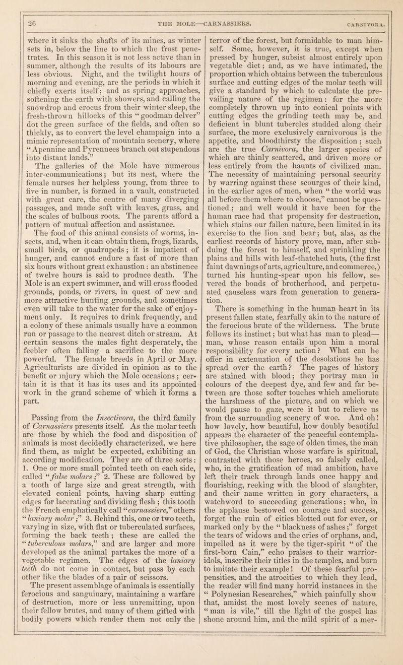 — 2G THE MOLE-CARNASSIERS. CARNIVORA. where it sinks the shafts of its mines, as winter sets in, below the line to which the frost pene¬ trates. In this season it is not less active than in summer, although the results of its labours are less obvious. Night, and the twilight hours of morning and evening, are the periods in which it chiefly exerts itself; and as spring approaches, softening the earth with showers, and calling the snowdrop and crocus from their winter sleep, the fresh-thrown hillocks of this “ goodman delver” dot the green surface of the fields, and often so thickly, as to convert the level champaign into a mimic representation of mountain scenery, where “ Apennine and Pyrennees branch out stupendous into distant lands.” The galleries of the Mole have numerous inter-communications; but its nest, where the female nurses her helpless young, from three to five in number, is formed in a vault, constructed with great care, the centre of many diverging passages, and made soft with leaves, grass, and the scales of bulbous roots. The parents afford a pattern of mutual affection and assistance. The food of this animal consists of worms, in¬ sects, and, when it can obtain them, frogs, lizards, small birds, or quadrupeds; it is impatient of hunger, and cannot endure a fast of more than six hours without great exhaustion: an abstinence of twelve hours is said to produce death. The Mole is an expert swdmmer, and will cross flooded grounds, ponds, or rivers, in quest of new and more attractive hunting grounds, and sometimes even will take to the water for the sake of enjoy¬ ment only. It requires to drink frequently, and a colony of these animals usually have a common run or passage to the nearest ditch or stream. At certain seasons the males fight desperately, the feebler often falling a sacrifice to the more powerful. The female breeds in April or May. Agriculturists are divided in opinion as to the benefit or injury which the Mole occasions ; cer¬ tain it is that it has its uses and its appointed work in the grand scheme of which it forms a part. Passing from the Imectivora, the third family of Carnassiers presents itself. As the molar teeth are those by which the food and disposition of animals is most decidedly characterized, we here find them, as might be expected, exhibiting an according modification. They are of three sorts : 1. One or more small pointed teeth on each side, called false molars2. These are followed by a tooth of large size and great strength, with elevated conical points, having sharp cutting edges for lacerating and dividing flesh ; this tooth the French emphatically call carnassieref others “ laniary molar 3. Behind this, one or two teeth, varying in size, with flat or tuberculated surfaces, forming the back teeth; these are called the “ tuberculous molarsf and are larger and more developed as the animal partakes the more of a vegetable regimen. The edges of the laniary teeth do not come in contact, but pass by each other like the blades of a pair of scissors. The present assemblage of animals is essentially ferocious and sanguinary, maintaining a warfare of destruction, more or less unremitting, upon their fellow brutes, and many of them gifted with bodily powers which render them not only the terror of the forest, but formidable to man him¬ self. Some, however, it is true, except when pressed by hunger, subsist almost entirely upon vegetable diet; and, as we have intimated, the proportion which obtains between the tuberculous surface and cutting edges of the molar teeth will give a standard by which to calculate the pre¬ vailing nature of the regimen: for the more completely thrown up into conical points with cutting edges the grinding teeth may be, and deficient in blunt tubercles studded along their surface, the more exclusively carnivorous is the appetite, and bloodthirsty the disposition ; such are the true Carnivora, the larger species of which are thinly scattered, and driven more or less entirely from the haunts of civilized man. The necessity of maintaining personal security by warring against these scourges of their kind, in the earlier ages of men, when “the world was all before them where to choose,” cannot be ques¬ tioned ; and well would it have been for the human race had that propensity for destruction, which stains our fallen nature, been limited in its exercise to the lion and bear; but, alas, as the earliest records of history prove, man, after sub¬ duing the forest to himself, and sprinkling the plains and hills with leaf-thatched huts, (the first faint dawnings of arts, agriculture, and commerce,) turned his hunting-spear upon his fellow, se¬ vered the bonds of brotherhood, and perpetu¬ ated causeless wars from generation to genera¬ tion. There is something in the human heart in its present fallen state, fearfully akin to the nature of the ferocious brute of the wilderness. The brute follows its instinct; but what has man to plead— man, whose reason entails upon him a moral responsibility for every action? What can he offer in extenuation of the desolations he has spread over the earth? The pages of history are stained with blood; they portray man in colours of the deepest dye, and few and far be¬ tween are those softer touches which ameliorate the harshness of the picture, and on which we would pause to gaze, were it but to relieve us from the surrounding scenery of woe. And oh! how lovely, how beautiful, how doubly beautiful appears the character of the peaceful contempla¬ tive philosopher, the sage of olden times, the man of God, the Christian whose warfare is spiritual, contrasted with those heroes, so falsely called, who, in the gratification of mad ambition, have left their track through lands once happy and flourishing, reeking with the blood of slaughter, and their name written in gory characters, a watchword to succeeding generations; who, in the applause bestowed on courage and success, forget the ruin of cities blotted out for ever, or marked only by the “ blackness of ashes;” forget the tears of widows and the cries of orphans, and, impelled as it were by the tiger-spirit “ of the first-born Cain,” echo praises to their warrior- idols, inscribe their titles in the temples, and burn to imitate their example ! Of these fearful pro¬ pensities, and the atrocities to which they lead, the reader will find many horrid instances in the “ Polynesian Researches,” which painfully show that, amidst the most lovely scenes of nature, “ man is vile,” till the light of the gospel has shone around him, and the mild spirit of a mer-