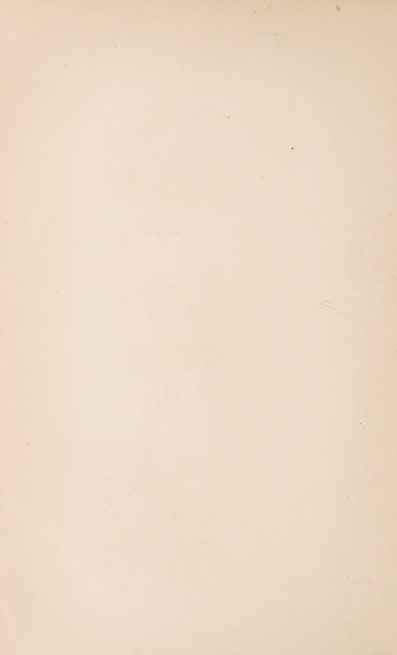 . » ’ y*J f \ * -I v« ^ r i ' ' ' T . • ^ k •■: ‘' ' .1i ‘.^4> • ■ X' ' »■> * Vm . . . ^ ;• I .. . A- ,.:- 4 MCl.'v XV'. ' ‘'’ ■ • - sq • •' :€>W ■ v^; • • \ *■, i_,- ~ ■ , f . . ‘ .'■ ' ' . • ' ■ '. ' >. 4 ■■' > 'V_ ■ r - ''^' -e ' -V ' -' ' ' , ■ '.■ ' ' ,- V/ .T-.-' -■ .X'.-;.' K''' s-' .:''31 ' ‘ ' ' ,;-' ''’''v ■ -■ '' ' ■■ ■1^,:'=:. 'iVT;’:v<i ' •■■.■‘s.fCTKs , A..- ■ SEi ■»'■ h^v. ^ •^-■■’ .V'V ^.,:X:>-' -.-, ..'-r ilPE'‘ “i-iSS'A V; X 'HMlMw^rv H^ c,.. •V'v- .■•' lit 11 I '•' ' ■ •‘\ '» • i' * ' . X« K-H X - ivKiV sir ”%'U ■« ' *..- _ ■ . '' •',k ; , T‘-' ■ *; ' Ai . f '* k »t <•) / .\' • ' • 4. ■ ▼■' «*' '■ ‘■^'' .-.C '....