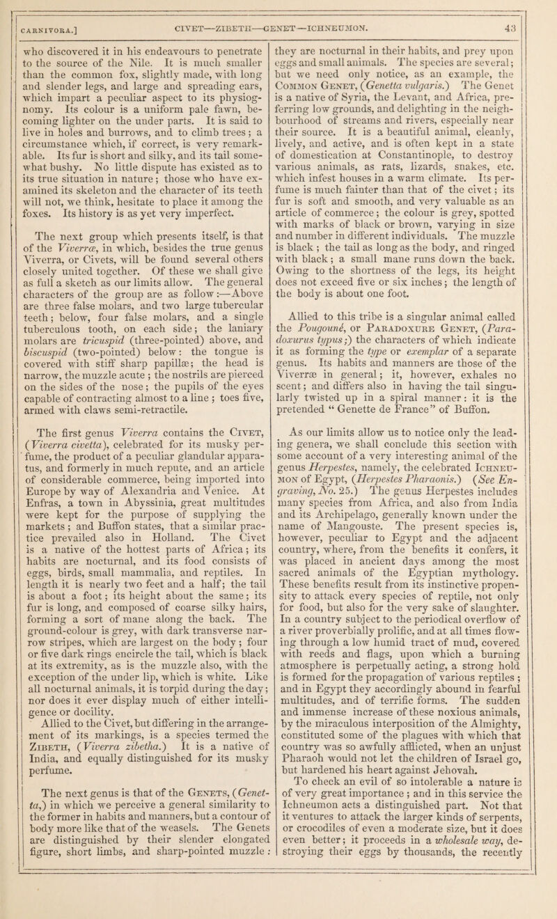 who discovered it in his endeavours to penetrate to the source of the Nile. It is niueh smaller than the common fox, slightly made, with long and slender legs, and large and spreading ears, which impart a peculiar aspect to its physiog¬ nomy. Its colour is a uniform pale fawn, be¬ coming lighter on the under parts. It is said to live in holes and burrows, and to climb trees; a circumstance which, if correct, is very remark¬ able. Its fur is short and silky, and its tail some¬ what bushy. No little dispute has existed as to its true situation in nature; those who have ex¬ amined its skeleton and the character of its teeth will not, we think, hesitate to place it among the foxes. Its history is as yet very imperfect. The next group which presents itself, is that of the Viverrce, in whieh, besides the true genus Viverra, or Civets, wnll he found several others closely united together. Of these we shall give as full a sketch as our limits allow. The general characters of the group are as follow :—Above are three false molars, and two large tubercular teeth; below, four false molars, and a single tuberculous tooth, on each side; the laniary molars are tricuspid (three-pointed) above, and biscuspid (two-pointed) below; the tongue is covered with stiff sharp papillse; the head is narrow, the muzzle acute ; the nostrils are pierced on the sides of the nose; the pupils of the eyes capable of contracting almost to a line ; toes five, armed with claws semi-retractile. The first genus Viverra contains the Civet, (Viverra civetta), celebrated for its musky per¬ fume, the product of a pecuhar glandular appara¬ tus, and formerly in much repute, and an article of considerable commerce, being imported into Europe by way of Alexandria and Venice. At Enfras, a town in Abyssinia, great multitudes were kept for the purpose of supplying the markets ; and Buffon states, that a similar prac¬ tice prevailed also in Holland. The Civet is a native of the hottest parts of Africa; its habits are nocturnal, and its food consists of eggs, birds, small mammalia, and reptiles. In length it is nearly two feet and a half; the tail is about a foot; its height about the same; its fur is long, and composed of coarse silky hairs, forming a sort of mane along the back. The ground-colour is grey, with dark transverse nar¬ row stripes, which are largest on the body ; four or five dark rings encircle the tail, which is black at its extremity, as is the muzzle also, with the exception of the under lip, which is white. Like all nocturnal animals, it is torpid during the day; nor does it ever display much of either intelli¬ gence or docility. Allied to the Civet, but differing in the arrange¬ ment of its markings, is a species termed the Zibeth, (Viverra zibetha.') It is a native of India, and equally distinguished for its musky perfume. The next genus is that of the Genets, (Genet- ta,') in which we perceive a general similarity to the former in habits and manners, but a contour of body more like that of the weasels. The Genets are distinguished by their slender elongated figure, short limbs, and sharp-pointed muzzle ; they are nocturnal in their habits, and prey upon eggs and small animals. The species are several; but we need only notice, as an example, the Common Genet, (Genetta vulgaris.') The Genet is a native of Syria, the Levant, and Africa, pre¬ ferring low grounds, and delighting in the neigh¬ bourhood of streams and rivers, especially near their source. It is a beautiful animal, cleanl}^ lively, and active, and is often kept in a state of domestication at Constantinople, to destroy various animals, as rats, lizards, snakes, etc. which infest houses in a warm climate. Its per¬ fume is much fainter than that of the civet; its fur is soft and smooth, and very valuable as an article of commerce ; the colour is grey, spotted with marks of black or brown, varying in size and number in different individuals. The muzzle is black ; the tail as long as the body, and ringed with black; a small mane runs down the back. Owing to the shortness of the legs, its height does not exceed five or six inches; the length of the body is about one foot. Allied to this tribe is a singular animal called the Pougoune, or Paradoxure Genet, (Para- doxurus typus;) the characters of which indicate it as forming the type or exemplar of a separate genus. Its habits and manners are those of the Viverrse in general; it, however, exhales no scent; and differs also in having the tail singu¬ larly twisted up in a spiral manner: it is the pretended “ Genette de France” of Buffon, As our limits allow us to notice only the lead¬ ing genera, we shall conclude this section with some account of a very interesting animal of the j genus Herpestes, namely, the celebrated Ichneu¬ mon of Egypt, (Herpestes Pkaraonis.) (See En¬ graving, No. 25.) The genus Herpestes includes many species from Africa, and also from India and its Archipelago, generally known under the name of Mangouste. The present species is, however, peculiar to Egypt and the adjacent country, where, from the benefits it confers, it was placed in ancient days among the most sacred animals of the Egyptian mythology. These benefits result from its instinctive propen¬ sity to attack every species of reptile, not only for food, hut also for the very sake of slaughter. In a country subject to the periodical overflow of a river proverbially prolific, and at all times flow¬ ing through a low humid tract of mud, covered with reeds and flags, upon which a burning atmosphere is perpetually acting, a strong hold is formed for the propagation of various reptiles ; and in Egypt they accordingly abound in fearful multitudes, and of terrific forms. The sudden and immense increase of these noxious animals, by the miraculous interposition of the Almighty, constituted some of the plagues with which that country was so awfully afflicted, when an unjust Pharaoh would not let the children of Israel go, but hardened his heart against Jehovah. To check an evil of so intolerable a nature is of very great importance ; and in this service the Ichneumon acts a distinguished part. Not that it ventures to attack the larger kinds of serpents, | or crocodiles of even a moderate size, but it does even better; it proceeds in a wholesale way, de¬ stroying their eggs by thousands, the recently