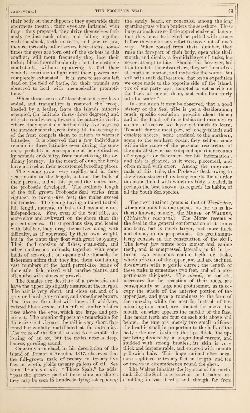 their body on their flippers ; they open wide their enormous mouth ; their eyes are inflamed with fury ; thus prepared, they drive themselves furi¬ ously against each other, and falling together with the shock, teeth to teeth, and jaw to jaw, they reciprocally inflict severe lacerations ; some¬ times the eyes are torn out of the sockets in this conflict; still more frequently they lose their tusks ; blood flows abundantly ; but the obstinate combatants, without appearing to feel their wounds, continue to fight until their powers are completely exhausted. It is rare to see one left dead on the field of battle, for their wounds are observed to heal with inconceivable prompti¬ tude.” When these scenes of bloodshed and rage have ended, and tranquillity is restored, the troop, headed by a leader, leave the islands hitherto occupied, (in latitude thirty-three degrees,) and migrate southwards, towards the antarctic circle, where they spend (in latitude fifty-five degrees) the summer months, remaining, till the setting in of the frost compels them to return to warmer latitudes. It is observed that a few individuals remain in these latitudes even during the sum¬ mers, probably in consequence of being disabled by wounds or debility, from undertaking the or¬ dinary journey. In the month of June, the herds have arrived at their accustomed breeding places. The young grow very rapidly, and in three years attain to the length, but not the bulk of their parents, and at this period the males have the proboscis developed. The ordinary length of the full grown Proboscis Seal varies from eighteen to twenty-five feet; the males exceed the females. The young having attained to their full length, increase in bulk, and assume entire independence. Few, even of the Seal tribe, are more slow and awkward on the shore than the present species. Of stupendous size, and loaded with blubber, they drag themselves along with difficulty, as if oppressed by their own weight, but in the water they float with great buoyancy. Their food consists of fishes, cuttle-fish, and other molluscous animals, together with some kinds of sea-weed ; on opening the stomach, the fishermen affirm that they find them containing vast numbers of the hard parrot-like beaks of the cuttle fish, mixed with marine plants, and often also with stones or gravel. The females are destitute of a proboscis, and have the upper lip slightly fissured at the margin. The hair is very short, and close set, and of a grey or bluish grey colour, and sometimes brown. The lips are furnished with long stiff whiskers, twisted like a screw, and a tuft of similar bristles rises above the eyes, which are large and pro¬ minent. The anterior flippers are remarkable for their size and vigour; the tail is very short, flat¬ tened horizontally, and dilated at the extremity. The voice of the female is said to resemble the lowing of an ox, but the males utter a deep, hoarse, gurgling sound. Captain Carmichael, in his description of the island of Tristan d’Acunha, 1817, observes that the full-grown male of twenty to twenty-five feet in length, yields seventy gallons of oil. See Linn. Trans, vol. xii. “ These Seals,” he adds, “ pass the greater part of their time on shore; they may be seen in hundreds, lying asleep along the sandy beach, or concealed among the long | spartina grass which borders the sea-shore. These huge animals are so little apprehensive of danger, that they must be kicked or pelted with stones before they make any effort to move out of one’s way. When roused from their slumber, they raise the fore part of their body, open wide their i mouth, and display a formidable set of tusks, but ' never attempt to bite. Should this, however, fail to intimidate their disturbers, they set themselves at length in motion, and make for the water; but still with such deliberation, that on an expedition we once made to the opposite side of the island, two of our party were tempted to get astride on the back of one of them, and rode him fairly into the water.” In conclusion it may he observed, that a good history of the Seal tribe is yet a desideratum; much specific confusion prevails about them; and of the details of their habits and manners in a state of nature we have yet much to learn. Tenants, for the most part, of lonely islands and desolate shores ; some confined to the northern, some to the southern ocean, they seldom come within the range of the personal researches of the naturalist, who has to depend upon the accounts of voyagers or fishermen for his information; and this is gleaned, as it were, piecemeal, and often mixed with error. Among the rarer ani- j mals of this tribe, the Proboscis Seal, owing to the circumstance of its being sought for in order to obtain the oil with which its body is loaded, is perhaps the best known, as regards its habits, of all the South Sea species. The next distinct genus is that of TricJiechm, whieh eontains but one species, as far as is hi¬ therto known, namely, the Morse, or Walrus, (^Trichechus rosmarus.) The Morse resembles the Seal in the general conformation of its limbs and body, but is much larger, and more thick and clumsy in its proportions. Its great singu¬ larity consists in the construetion of the skull. The lower jaw wants both ineisor and canine teeth, and is compressed laterally to fit in be¬ tween two enormous canine teeth or tusks, which arise out of the upper jaw, and are inclined downwards with a gentle curve; the length of these tusks is sometimes two feet, and of a pro¬ portionate thickness. The alveoli, or sockets, necessary for the reception of their roots, are consequently so large and protuberant, as to oc¬ cupy the whole of the anterior portion of the upper jaw, and give a roundness to the form of the muzzle ; while the nostrils, instead of ter¬ minating in a snout, are situated far above the mouth, on what appears the middle of the face. The molar teeth are four on each side above and below; the ears are merely two small orifiees ; the head is small in proportion to the bulk of the body ; the neck is short; the lips thiek, the up¬ per being divided by a longitudinal furrow, and studded with strong bristles; its skin is very thick and impenetrable, and covered with smooth yellowish hair. This huge animal often mea¬ sures eighteen or twenty feet in length, and ten or twelve in circumferenee round the chest. The Walrus inhabits the icy seas of the north, and, like the Seal, is gregarious in its habits, as¬ sembling in vast herds; and, though far from