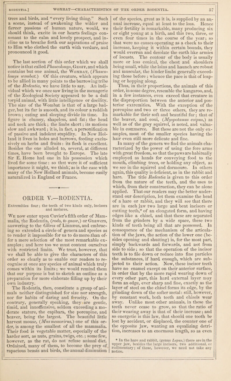 RODENTIA.] WOMBAT-CHARACTERISTICS OF THE ORDER RODENTIA. 57 trees and birds, and “ every living thing.” Such a scene, instead of awakening the wilder and fiercer passions of human nature, would, we should think, excite in our hearts feelings con¬ sonant to the calm and lovely prospect, and in¬ cline us to breathe forth our aspirations of praise to Him who clothed the earth with verdure, and pronounced it good. The last section of this order which we shall notice is that called Phascolotnys, Geoff, and which contains but one animal, the Wombat, (Phasco- lornys wombat.) Of this creature, which appears to be allied in many points to the burrowing tribe of the Podentia, we have little to say. An indi¬ vidual which we once saw living in the menagerie of the Zoological Society appeared to be a dull torpid animal, with little intelligence or docility. The size of the Wombat is that of a large bad¬ ger, but its fur is smooth, and its colour a reddish brown ; eating and sleeping divide its time. Its figure is clumsy, shapeless, and fat; the head and neck are thick; the limbs short; its motions slow and awkward ; it is, in fact, a personification of passive and indolent stupidity. In New Hol¬ land it lives in holes and burrows, feeding exclu¬ sively on herbs and fruits : its flesh is excellent. Besides the one alluded to, several, at different times, have been brought to Europe. The late Sir E. Home had one in his possession which lived for some time : so that were it of sufficient importance it might, we think, as is the case with many of the New Holland animals, become easily naturalized in England or France. -» .. ORDER V.—RODENTIA. Extremities four ; the teeth of two kinds only, incisors and molares. We now enter upon Cuvier’s fifth order of Mam¬ malia, the Rodentia, (rodo, to gnaiv,) or Gnawers, answering to the Glires of Linnaeus, and embrac¬ ing so extended a circle of genera and species as to render it impossible for us to do morovthan of¬ fer a mere selection of the most remarkable ex¬ amples ; and here too we must content ourselves with restricted limits. We trust, however, that we shall be able to give the characters of this order so clearly as to enable our readers to re¬ cognise at once any species of animal which truly comes within its limits ; we would remind them that our purpose is but to sketch an outline as a preparation for more elaborate filling up by their own industry. The Rodentia, then, constitute a group of ani¬ mals neither distinguished for size nor strength, nor for habits of daring and ferocity. On the contrary, generally speaking, they are gentle, timid, and innoffensive, seldom exceeding a mo¬ derate stature, the capibara, the porcupine, and beaver, being the largest. The beautiful little harvest mouse, (^Miis messorirus,) one of this or¬ der, is among the smallest of all the mammalia. . Their food is vegetable matter, especially of the harder sort, as nuts, grains, twigs, etc,; some few, however, as the rat, do not refuse animal diet. Ordained, many of them, to become the prey of, j rapacious beasts and birds, the annual diminution of the species, great as it is, is supplied by an an¬ nual increase, equal at least to the loss. Hence their fertility is remarkable, many producing six or eight young at a birth, and this two, three, or even four times in the course of the year; so that were no causes operating as a check to their increase, keeping it within certain bounds, they would overrun and desolate the earth like armies of locusts. The contour of the body is usually more or less conical, the chest and shoulders being small, while the loins and haunch are robust and muscular, the hinder limbs generally exceed¬ ing those before ; whence the pace is that of leap¬ ing or hopping along. Thus, in their proportions, the animals of this order, in some degree, resemble the kangaroo, and, in a few instances, even exceed that creature in the disproportion between the anterior and pos¬ terior extremities. With the exception of the porcupine and two or three others, they are re¬ markable for their soft and beautiful fur; that of the beaver, and cou'i, {Myopotavius coipus,) as well as of the grey squirrel, is noted, and valua¬ ble in commerce. But these are not the only ex¬ amples, most of the smaller species having the hair even still more delicate and fine. In many of the genera we find the animals cha¬ racterized by the power of using the fore arms with great freedom, so that the paws are habitually employed as hands for conveying food to the mouth, climbing trees, or holding any object, as we see in the squirrel and dormouse. In others again, this quality is deficient, as in the rabbit and hare. The title Rodentia is given to this order from the nature of the teeth, and the uses to which, from their construction, they can be alone applied. That our readers may the better under¬ stand our description, let them examine the head of a hare or rabbit, and they will see that there are in each jaw two large and bent incisors or cutting teeth,* of an elongated form, and having edges like a chisel, and that these are separated from the grinders by a wide space, these two kinds of teeth being all that are possessed. In consequence of the meehanism of the articula¬ tion of the jaws, the action of the lower one (be¬ sides opening and shutting) is, for the most part, simply backwards and forwards, and not from side to side; so that the operation of the incisor teeth is to file down or reduce into fine particles the substances, if hard enough, which are sub¬ jected to their action. Now, these incisor teeth have no enamel except on their anterior surface, in order that by the more rapid wearing down of every other part, this hard external layer may form an edge, ever sharp and fine, exactly as the layer of steel on the chisel forms its edge, by the grinding down of the softer metal; still, however, by constant work, both teeth and chisels wear away. Unlike most other animals, in these the teeth never cease to grow, so that the ratio of their wearing away is that of their increase; and so energetic is this law, that should one tooth be lost by accident, or displaced, the counter one of the opposite jaw, wanting an equalizing detri¬ tion, increases to an enormous length, so as even * In the hare and rabbit, (genus Lepus,) there are in the upper jaw, besides the large incisors, two additional, or rudimentary; of these, however, we need not take any notice.