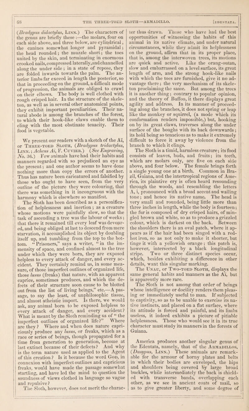 G8 THE THREE-TOED SLOTH—ARMADILLO. {Brad/jpus didaciijlus, Linn.) The characters of the genus are briefly these :—the molars, four on each side above, and three below, are cylindrical, the canines somewhat longer and pyramidal; the head rounded; the muzzle short; the toes united by the skin, and terminating in enormous crooked nails, compressed laterally,and channelled along the under side ; in a state of repose, they are folded inwards towards the palm. The an¬ terior limbs far exceed in length the posterior, so that in proceeding on the ground, a difficult mode of progression, the animals are obliged to crawl on their elbows. The body is well clothed with rough crisped hair. In the structure of the skele¬ ton, as well as in several other anatomical points, they exhibit important peculiarities. Their na¬ tural abode is among the branches of the forest, to which their hook-like claws enable them to cling with the most obstinate tenacity. Their food is vegetable. We present our readers with a sketch of the Ai, or Three-toed Sloth, {Bradypus tridactylus, Linn. ; Adieus Ai, F. Cuvier.) {See Engraving, No. 36.) Few animals have had their habits and manners regarded with so prejudiced an eye as the present; and one author seems to have done nothing more than copy the errors of another. ' Thus has nature been caricatured and falsified by those who ought to have seen, from the very outline of the picture they were colouring, that there was something in it incongruous with the harmony which is elsewhere so manifest. The Sloth has been described as a personifica- ! tion of helplessness and inertion; as a creature whose motions were painfully slow, so that the task of ascending a tree was the labour of weeks; that there it remained till every leaf was devour¬ ed, and being obliged at last to descend from mere starvation, it accomplished its object by doubling itself up, and tumbling from the top to the bot¬ tom. “ Prisoners,” says a writer, “ in the im¬ mensity of space, and confined almost to the tree under which they were born, they are exposed helpless to every attack of danger, and every ac¬ cident. They certainly remind us, in some mea¬ sure, of those imperfect outlines of organized life, those lusus (freaks) that nature, with an apparent caprice, sometimes produces, and which the de¬ fects of their structure soon cause to be blotted out from the list of living beings,” etc.—A pas¬ sage, to say the least, of unphilosophic tissue, and almost atheistic import. Is there, we would ask, any animal born to be exposed helpless to every attack of danger, and every accident? What is meant by the Sloth reminding us of “ the imperfect outlines of organized life?” Where are they ? Where and when does nature capri¬ ciously produce any lusus, or freaks, which as a race or series of beings, though propagated for a time from generation to generation, become at last extinct because of their defects? And why is the term nature used as applied to the Agent of this creation ? Is it because the woi'd God, in connexion with imperfect outlines and capricious freaks, would have made the passage somewhat startling, and have led the mind to question the soundness of views clothed in language so vague and repulsive ? The Sloth, however, does not merit the charac¬ [edentata. ter thus drawn. Those who have had the best opportunities of witnessing the habits of this animal in its native climate, and under natural circumstances, while they admit its helplessness on the ground, affirm that in its proper place, that is, among the interwoven trees, its motions are quick and active. Like the orang-outan, slow and embarrassed on a level surface, its great length of arm, and the strong hook-like nails with which the toes are furnished, give it no ad¬ vantage there ; the very mechanism of its skele¬ ton proclaiming the same. But among the trees it is another thing; contrary to popular opinion, and the theory of Buffon, it there displays great agility and address. In its manner of proceed¬ ing along the branches, it does not spring or leap like the monkey or squirrel, (a mode which its conformation renders impossible,) but, hooking on by its great claws, traverses along the under j surface of the boughs with its back downwards ; its hold being so tenacious as to make it extremely difficult to force it away by violence from the branch to which it clings. The Sloth is a timid, harmless creature; its food consists of leaves, buds, and fruits; its teeth, which are molars only, are five on each side above, and four below. The female brings forth a single young one at a birth. Common in Bra¬ zil, Guiana, and the intertropical regions of Ame¬ rica, its plaintive cry is often heard resounding through the woods, and resembling the letters A, i, pronounced with a broad accent and wailing tone ; and hence its natWe name. The head is very small and rounded, being little more than three inches in length, while the body is fourteen; the fur is composed of dry crisped hairs, of min¬ gled brown and white, so as to produce a grizzled colour, which is darkest on the back. Between the shoulders there is an oval patch, where it ap¬ pears as if the hair had been singed with a red- hot iron, so as not only to make it shorter, but tinge it with a yellowish orange ; this patch is, however, intersected by a black longitudinal stripe. Two or three distinct species occur, which, besides exhibiting a difference in other details, want this singular marking. The Unau, or Two-toed Sloth, displays the same general habits and manners as the Ai', but is apparently more rare. The Sloth is not among that order of beings whose intelligence or docility renders them pleas¬ ing or immediately useful to man. If subjected j to captivity, so as to be unable to exercise its na- j tive instincts, and placed on a flat surface, where j its attitude is forced and painful, and its limbs useless, it indeed exhibits a picture of pitiable j helplessness. Those who would see it in its true ! character must study its manners in the forests of i Guiana. America produces another singular genus of the Edentata, namely, that of the Armadillos, j {Dasypus, Linn.) These animals are remark- i able for the armour of horny plates and belts I in which their bodies are enveloped, the hips ! and shoulders being covered by large broad j buckles, while intermediately the back is shield¬ ed with transverse bands, overlapping each other, as we see in ancient coats of mail, so as to give greater liberty, and some degree of