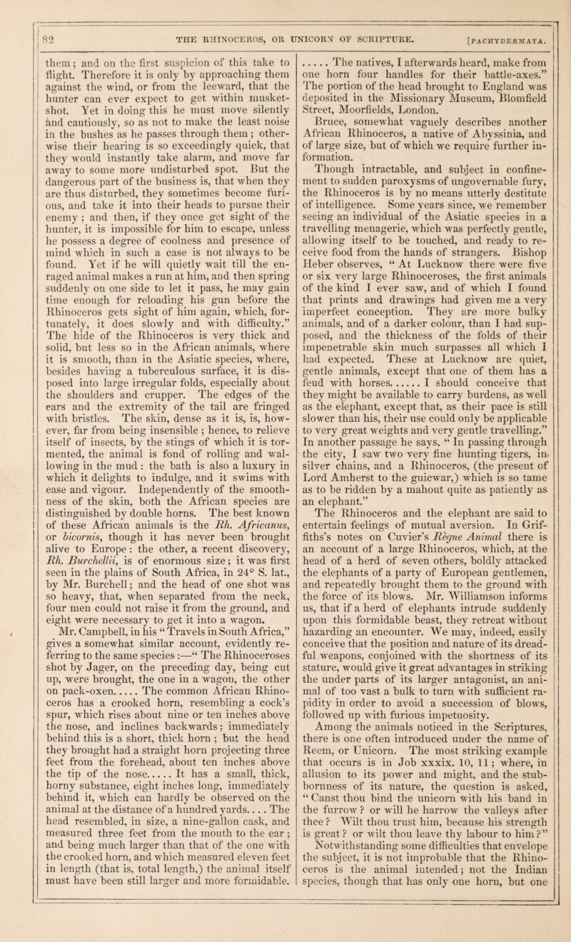 them; and on the first suspicion of this take to flight. Therefore it is only by approaching them against the wind, or from the leeward, that the hunter can ever expect to get within musket- shot. Yet in doing this he must move silently hnd cautiously, so as not to make the least noise in the bushes as he passes through them; other¬ wise their hearing is so exceedingly quick, that they would instantly take alarm, and move far away to some more undisturbed spot. But the dangerous part of the business is, that when they are thus disturbed, they sometimes become furi¬ ous, and take it into their heads to pursue their enemy ; and then, if they onee get sight of the hunter, it is impossible for him to escape, unless he possess a degree of coolness and presence of mind which in such a case is not always to be found. Yet if he will quietly wait till the en¬ raged animal makes a run at him, and then spring suddenly on one side to let it pass, he may gain time enough for reloading his gun before the Rhinoceros gets sight of him again, which, for¬ tunately, it does slowly and with difficulty.” The hide of the Rhinoceros is very thick and solid, but less so in the African animals, where it is smooth, than in the Asiatic species, where, besides having a tuberculous surface, it is dis¬ posed into large irregular folds, especially about the shoulders and crupper. The edges of the ears and the extremity of the tail are fringed with bristles. The skin, dense as it is, is, how¬ ever, far from being insensible ; hence, to relieve itself of insects, by the stings of which it is tor¬ mented, the animal is fond of rolling and wal¬ lowing in the mud: the bath is also a luxury in which it delights to indulge, and it swims with ease and vigour. Independently of the smooth¬ ness of the skin, both the African species are distinguished by double horns. The best known of these African animals is the Rh. Africanus, or bicornis, though it has never been brought alive to Europe : the other, a recent discovery, Rh. Burchellii, is of enormous size; it was first seen in the plains of South Africa, in 24° S. lat., by Mr. Burchell; and the head of one shot was so heavy, that, when separated from the neck, four men could not raise it from the ground, and eight were necessary to get it into a wagon. Mr. Campbell, in his “ Travels in South Africa,” gives a somewhat similar account, evidently re¬ ferring to the same species :—“ The Rhinoceroses shot by Jager, on the preceding day, being cut up, were brought, the one in a wagon, the other on pack-oxen.The common African Rhino¬ ceros has a crooked horn, resembling a cock’s spur, which rises about nine or ten inches above the nose, and inclines backwards; immediately behind this is a short, thick horn ; but the head they brought had a straight horn projecting three feet from the forehead, about ten inches above the tip of the nose.It has a small, thick, horny substance, eight inches long, immediately behind it, which can hardly be observed on the animal at the distance of a hundred yards.... The head resembled, in size, a nine-gallon cask, and measured three feet from the mouth to the ear; and being much larger than that of the one with the crooked horn, and which measured eleven feet in length (that is, total length,) the animal itself must have been still larger and more formidable. .The natives, I afterwards heard, make from one horn four handles for their battle-axes.” The portion of the head brought to England was deposited in the Missionary Museum, Blomfield Street, Moorfields, London. Bruce, somewhat vaguely describes another African Rhinoceros, a native of Abyssinia, and of large size, but of which we require further in¬ formation. Though intractable, and subject in confine¬ ment to sudden paroxysms of ungovernable fury, the Rhinoceros is by no means utterly destitute of intelligence. Some years since, we remember seeing an individual of the Asiatic species in a travelling menagerie, which was perfectly gentle, allowing itself to be touched, and ready to re¬ ceive food from the hands of strangers. Bishop Heber observes, “ At Lucknow there were five or six very large Rhinoceroses, the first animals of the kind I ever saw, and of which I found that prints and drawings had given me a very imperfect conception. They are more bulky animals, and of a darker colour, than I had sup¬ posed, and the thickness of the folds of their impenetrable skin much surpasses all which I had expected. These at Lucknow are quiet, gentle animals, except that one of them has a feud with horses.I should conceive that they might be available to carry burdens, as well as the elephant, except that, as their pace is still slower than his, their use could only be applicable to very great weights and very gentle travelling.” In another passage he says, “ In passing through the city, I saw two very fine hunting tigers, in. silver chains, and a Rhinoceros, (the present of Lord Amherst to the guicwar,) which is so tame as to be ridden by a mahout quite as patiently as an elephant.” The Rhinoceros and the elephant are said to entertain feelings of mutual aversion. In Grif¬ fiths’s notes on Cuvier’s Regne Animal there is an account of a large Rhinoceros, which, at the head of a herd of seven others, boldly attacked the elephants of a party of European gentlemen, and repeatedly brought them to the ground with the force of its blows. Mr. Williamson informs us, that if a herd of elephants intrude suddenly upon this formidable beast, they retreat without hazarding an encounter. We may, indeed, easily conceive that the position and nature of its dread¬ ful weapons, conjoined with the shortness of its stature, would give it great advantages in striking the under parts of its larger antagonist, an ani¬ mal of too vast a bulk to turn with sufficient ra¬ pidity in order to avoid a succession of blows, followed up with furious impetuosity. Among the animals noticed in the Scriptures, there is one often introduced under the name of Reem, or Unicorn. The most striking example that occurs is in Job xxxix. 10, 11; where, in allusion to its pow'er and might, and the stub¬ bornness of its nature, the question is asked, “ Canst thou bind the unicorn with his band in the furrow ? or will he harrow the valleys after thee ? Wilt thou trust him, because his strength is great ? or wilt thou leave thy labour to him ? ” Notwithstanding some difficulties that envelope the subject, it is not improbable that the Rhino¬ ceros is the animal intended; not the Indian species, though that has only one horn, but one