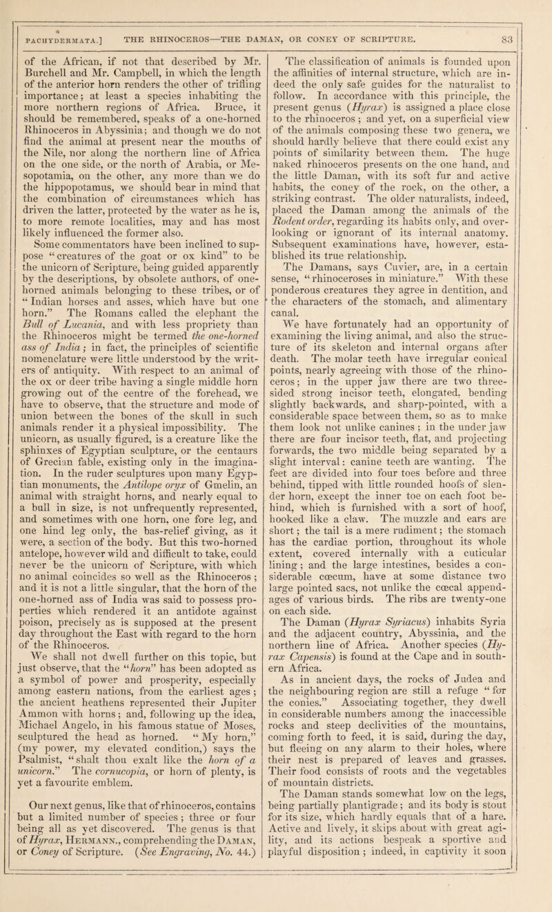 of the African, if not that described by Mr, Burchell and Mr. Campbell, in which the length of the anterior horn renders the other of trifling importance; at least a species inhabiting the more northern regions of Africa. Bruce, it should be remembered, speaks of a one-horned Rhinoceros in Abyssinia; and though we do not find the animal at present near the mouths of the Nile, nor along the northern line of Africa on the one side, or the north of Arabia, or Me¬ sopotamia, on the other, any more than we do the hippopotamus, we should bear in mind that the combination of circumstances which has driven the latter, protected by the water as he is, to more remote localities, may and has most likely influenced the former also. Some commentators have been inclined to sup¬ pose “ creatures of the goat or ox kind” to be the unicorn of Scripture, being guided apparently by the descriptions, by obsolete authors, of one¬ horned animals belonging to these tribes, or of “ Indian horses and asses, which have but one horn.” The Romans called the elephant the Bull of Lucania, and with less propriety than the Rhinoceros might be termed the one-horned ass of India; in fact, the principles of scientific nomenclature were little understood by the writ¬ ers of antiquity. With respect to an animal of the ox or deer tribe having a single middle horn growing out of the centre of the forehead, we have to observe, that the structure and mode of union between the bones of the skull in such animals render it a physical impossibility. The unicorn, as usually figured, is a creature like the sphinxes of Egyptian sculpture, or the centaurs of Grecian fable, existing only in the imagina¬ tion. In the ruder sculptures upon many Egyp¬ tian monuments, the Antilope oryx of Gmelin, an animal with straight horns, and nearly equal to a bull in size, is not unfrequently represented, and sometimes with one horn, one fore leg, and one hind leg only, the bas-relief giving, as it were, a section of the body. But this two-horned antelope, however wild and difficult to take, could never be the unicorn of Scripture, with which no animal coincides so well as the Rhinoceros ; and it is not a little singular, that the horn of the one-horned ass of India was said to possess pro- ! perties which rendered it an antidote against poison, precisely as is supposed at the present day throughout the East with regard to the horn of the Rhinoceros. We shall not dwell further on this topic, but just observe, that the “Aom” has been adopted as a symbol of power and prosperity, especially among eastern nations, from the earliest ages ; the ancient heathens represented their Jupiter Ammon with horns; and, following up the idea, Michael Angelo, in his famous statue of Moses, sculptured the head as horned. “ My horn,” (my power, my elevated condition,) says the Psalmist, “ shalt thou exalt like the horn of a unicorn.” The cornucopia, or horn of plenty, is yet a favourite emblem. Our next genus, like that of rhinoceros, contains but a limited number of species ; three or four being all as yet discovered. The genus is that of Hyrax, Hermann., comprehending the Daman, or Coney of Scripture. (Nee Engraving, No. 44.) The classification of animals is founded upon the affinities of internal structure, which are in¬ deed the only safe guides for the naturalist to follow. In accordance with this principle, the present genus {Hyrax) is assigned a place close to the rhinoceros ; and yet, on a superficial view of the animals composing these two genera, we should hardly believe that there could exist any points of similarity between them. The huge naked rhinoceros presents on the one hand, and the little Daman, with its soft fur and active habits, the coney of the rock, on the other, a striking contrast. The older naturalists, indeed, placed the Daman among the animals of the Rodent order, regarding its habits only, and over¬ looking or ignorant of its internal anatomy. Subsequent examinations have, however, esta¬ blished its true relationship. The Damans, says Cuvier, are, in a certain sense, “ rhinoceroses in miniature.” With these ponderous creatures they agree in dentition, and ’ the characters of the stomach, and alimentary canal. We have fortunately had an opportunity of examining the living animal, and also the struc¬ ture of its skeleton and internal organs after death. The molar teeth have irregular conical points, nearly agreeing with those of the rhino¬ ceros ; in the upper jaw there are two three- sided strong incisor teeth, elongated, bending slightly backwards, and sharp-pointed, with a considerable space between them, so as to make them look not unlike canines ; in the under jaw there are four incisor teeth, flat, and projecting forwards, the two middle being separated by a slight interval: canine teeth are wanting. The feet are divided into four toes before and three behind, tipped with little rounded hoofs of slen¬ der horn, except the inner toe on each foot be¬ hind, which is furnished with a sort of hoof, hooked like a claw. The muzzle and ears are short; the tail is a mere rudiment; the stomach has the cardiac portion, throughout its whole extent, covered internally with a cuticular lining ; and the large intestines, besides a con¬ siderable coecum, have at some distance two large pointed sacs, not unlike the coecal append¬ ages of various birds. The ribs are twenty-one on each side. The Daman {Hyrax Syriacus) inhabits Syria and the adjacent country, Abyssinia, and the northern line of Africa. Another species {Hy- rax Capensis) is found at the Cape and in south¬ ern Africa. As in ancient days, the rocks of Judea and the neighbouring region are still a refuge “ for the conies.” Associating, together, they dwell in considerable numbers among the inaccessible rocks and steep declivities of the mountains, coming forth to feed, it is said, during the day, but fleeing on any alarm to their holes, where their nest is prepared of leaves and grasses. Their food consists of roots and the vegetables of mountain districts. The Daman stands somewhat low on the legs, being partially plantigrade; and its body is stout for its size, which hardly equals that of a hare. Active and lively, it skips about with great agi¬ lity, and its actions bespeak a sportive and playful disposition ; indeed, in captivity it soon |