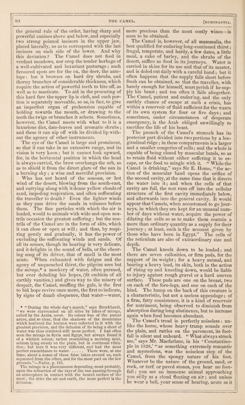 the general rule of the order, having sharp and powerful canines above and below, and especially two strong pointed incisors in the upper jaw, placed laterally, so as to correspond with the last incisors on each side of the lower. And why this deviation ? The Camel does not feed in verdant meadows, nor crop the tender herbage of a well-cultivated and luxuriant pasturage; such favoured spots are for the ox, the deer, the ante¬ lope : but it browses on hard dry shrubs, and thorny branches of considerable thickness, which require the action of powerful teeth to bite off, as well as to masticate. To aid in the procuring of this hard fare the upper lip is cleft, and each por¬ tion is separately moveable, so as, in fact, to give an imperfect organ of prehension capable of holding towards the mouth, or drawing to the teeth the twigs or branches it selects. Sometimes, however, the Camel meets with what to it is a luxurious diet, date-leaves and aromatic shrubs ; and these it can nip olf with its divided lip with¬ out the agency of other instruments. The eye of the Camel is large and prominent, so that it can take in an extensive range, and its vision is very keen ; but it cannot look upward, for, in the horizontal position in which the head is always carried, the brow overhangs the orb, so as to shield it from the direct glare of the sun in a burning sky ; a wise and merciful provision. Who has not heard of the semoum, or hot wind of the desert, blowing from the south-east, and carrying along with it dense yellow clouds of sand, impeding respiration, and often suffocating the traveller to death ? Even the lighter winds as they pass drive the sands in volumes before them. The fine particles with which the air is loaded, would to animals with wide and open nos¬ trils occasion the greatest suffering ; but the nos¬ trils of the Camel are in the form of slits, which it can close or open at will; and thus, by respi¬ ring gently and gradually, it has the power of excluding the suffocating winds and sands. Of all its senses, though its hearing is very delicate, and it delights in the sound of bells, or the cheer¬ ing song of its driver, that of smell is the most acute. When exhausted with fatigue and the agony of unquenched thirst, the pilgrim sees but the mirage,'^ a mockery of water, often pursued, but ever deluding his hopes, (fit emblem of all earthly vanities,) and gives way to the misery of despair, the Camel, snuffing the gale, is the first to bid hope revive once more, the first to indicate, by signs of dumb eloquence, that water—water, * “ During the whole day’s march,” says Biirckhardt, “ we were surrounded on all sides by lakes of mirage, called by the Arabs, serad. Its colour was of the purest azure, and so clear, that the shadows of the mountains which bordered the horizon were reflected in it with the greatest precision, and the delusion of its being a sheet of water was thus rendered still more perfect. I had often seen the mirage in Syria and Egypt, but always found it of a whitish colour, rather resembling a morning mist, seldom lying steady on the plain, but in continual vibra¬ tion ; but here it was very different, and had the most perfect resemblance to water. There were, at one time, about a dozen of these false lakes around us, each separated from the other, and for the most part on the low grounds.”—p. 193. The mirage is a phenomenon depending, most probably, upon the refraction of the rays of the sun passing through an atmosphere in contact with the heated surface of the sand ; the drier the air and earth, the more perfect is the delusion. more precious than the most costly wines—is soon to be obtained. The Camel is, however, of all mammalia, the best qualified for enduring long-continued thirst; frugal, temperate, and hardy, a few dates, a little meal, a cake of barley, and the shrubs of the desert, suffice as food in its journeys. Water is carried in skins for its use and that of its master, and is doled out daily with a careful hand; but it often happens that the supply falls short before fresh can be obtained, so that the traveller, with barely enough for himself, must perish if he sup¬ ply his beast; and too often it fails altogether. The Camel, patient and enduring, and the only earthly chance of escape at such a crisis, has within a reservoir of fluid sufficient for the wants of its own system for four or five days; and sometimes, under circumstances of desperate emergency, is the Arab obliged unwillingly to sacrifice the life of his beast. The paunch of the Camel’s stomach has its posterior part divided into two portions by a lon¬ gitudinal ridge ; in these compartments is a larger and a smaller congeries of cells; and the whole is capable of being elosed by muscular bands, so as to retain fluid without either suffering it to es¬ cape, or the food to mingle with it. “ While the Camel is drinking,” says Sir E. Home, “the ac¬ tion of the muscular band opens the orifice of the second cavity, at the same time that it directs the water into it; and when the cells of that cavity are full, the rest runs off into the cellular structure of the first cavity immediately below, and afterwards into the general cavity. It would appear that Camels, when accustomed to go jour¬ neys, in which they are kept for an unusual num¬ ber of days without water, acquire the power of dilating the cells so as to make them contain a more than ordinary quantity as a supply for their journey ; at least, such is the account given by those who have been in Egypt.” The cells of the reticulum are also of extraordinary size and depth. The Camel kneels down to be loaded; and there are seven callosities, or firm pads, for the support of its weight; for a heavy animal, and bearing a heavy load, its skin, both in the action of rising up and kneeling down, would be liable to injury against rough gravel or a hard uneven surface. These pads are one on the breast, two on each of the fore-legs, and one on each of the hind. The hump on the back of this creature is a eharacteristic, but not a useless appendage; of a firm, fatty consistence, it is a kind of reservoir for nutriment, being observed to diminish from absorption during long abstinence, but to increase again when food becomes abundant. The Camel’s tread is perfectly noiseless : un¬ like the horse, whose heavy tramp sounds over the plain, and rattles on the pavement, its foot¬ fall is silent and unheard. “ What always struck me,” says Mr. Macfarlane, in his ‘ Constantino¬ ple in 1828,’ “as something extremely romantic and mysterious, was the noiseless step of the Camel, from the spongy nature of his foot. Whatever be the nature of the ground, sand, or rock, or turf, or paved stones, you hear no foot¬ fall ; you see an immense animal approaching you stilly as a cloud floating on air ; and unless he wear a bell, your sense of hearing, acute as it