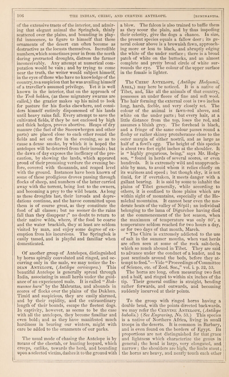 of the extensive tracts of the interior, and admir¬ ing that elegant animal the Springbok, thinly- scattered over the plains, and bounding in play¬ ful innocence, to figure to himself that these ornaments of the desert can often become as destructive as the locusts themselves. Incredible numbers,-which sometimes pour in from the north during protracted droughts, distress the farmer inconceivably. Any attempt at numerical com¬ putation would be vain ; and by trying to come near the truth, the writer would subject himself, in the eyes of those who have no knowledge of the country, to a suspicion that he was availing himself of a traveller’s assumed privilege. Yet it is well known in the interior, that on the approach of the Trek hokken, (as these migratory swarms are called,) the grazier makes up his mind to look for pasture for his flocks elsewhere, and consi¬ ders himself entirely dispossessed of his lands until heavy rains fall. Every attempt to save the cultivated fields, if they be not enclosed by high and thick hedges, proves abortive. Heaps of dry manure (the fuel of the Sneeuwbergen and other parts) are placed close to each other round the fields and set on fire in the evening, so as to cause a dense smoke, by which it is hoped the antelopes will be deterred from their inroads ; but the dawn of day exposes the inefficacy of the pre¬ caution, by showing the lands, which appeared proud of their promising verdure the evening be¬ fore, covered with thousands, and reaped level with the ground. Instances have been known of some of these prodigious droves passing through flocks of sheep, and numbers of the latter carried away with the torrent, being lost to the owners, and becoming a prey to the wild beasts. As long as these droughts last, their inroads and depre¬ dations continue, and the havoc committed upon them is of course great, as they constitute the food of all classes; but no sooner do the rains fall than they disappear no doubt to return to their native wilds, where, if the food be coarse and the water brackish, they at least are seldom visited by man, and enjoy some degree of ex¬ emption from his incursions. The Springbok is easily tamed, and is playful and familiar when domesticated. Of another group of Antelopes, distinguished by horns spirally convoluted and ringed, and oc¬ curring only in the male, we may notice the In¬ dian Antelope, (^Antilope cervicapra.) This beautiful Antelope is generally spread through India, associating in small herds under the guid¬ ance of an experienced male. It is called “ Bah- \ munnee hum'' by the Mahrattas, and abounds in scores of flocks over the plains of the Dukhun. Timid and suspicious, they are easily alarmed, and by their rapidity, and the extraordinary length of their bounds, escape the fleetest dogs. In captivity, however, as seems to be the case with all the antelopes, they become familiar and I even bold; and as they have manifested much I hardiness in bearing our winters, might with care be added to the ornaments of our parks. The usual mode of chasing the Antelope is by means of the cheetah, or hunting leopard, which creeps, catlike, towards the herd, and bounding upon a selected victim, dashes it to the ground with a blow. The falcon is also trained to baffle them as they scour the plain, and by thus impeding their celerity, give the dogs a chance. In size, the present species equals a fallow deer ; its ge¬ neral colour above is a brownish fawn, approach¬ ing more or less to black, and abruptly edging the white of the under surface ; there is a broad patch of white on the buttocks, and an almost complete and pretty broad circle of white sur¬ rounds the eye. The colour of the upper surface in the female is lighter. The Chiru Antelope, {Antilope Hodgsonii, Abel,) may here be noticed. It is a native of Tibet, and, like all the animals of that country, possesses an under fleece of fine and soft wool. The hair forming the external coat is two inches long, harsh, feeble, and very closely set. The colour of the animal is fawn-red above, and white on the under parts ; but every hair, at a little distance from the top, loses the red, and assumes a bluish grey. The forehead is black, and a fringe of the same colour passes round a fleshy or rather skinny protuberance close to the outer margin of either nostril, and as large as half of a fowl’s egg. The height of this species is about two feet eight inches at the shoulder. It is “ highly gregarious, being,” says Mr. Hodg¬ son, “ found in herds of several scores, or even hundreds. It is extremely wild and unapproach¬ able by man, to avoid whom it relies chiefly on its wariness and speed ; but though shy, it is not timid, for if overtaken, it meets danger with a gallant bearing. It is said by some to inhabit the plains of Tibet generally, while according to others, it is confined to those plains which are within sight of mountains, especially of the He- machal mountains. It cannot bear even the mo¬ derate heats of the valley of N^pal; an individual belonging to the lama of Digurchee having died at the commencement of the hot season, when the maximum of temperature was only 80°, a temperature seldom reached for two hours a day, or for two days of that month, March. “ The Chiru is extremely addicted to the use of salt in the summer months, when vast herds are often seen at some of the rock salt-beds, which so much abound in Tibet. They ar-e said to advance under the conduct of a leader, and to post sentinels around the beds, before they at¬ tempt to feed.”—Vide “ Proeeedings of Committee of Science, etc. of Zool. Soc.,” vol. i. p. 52, 53. I The horns are long, often measuring two feet and a half, and ringed to within six inches of the tip. Their general outline is straight, bending rather forwards, and outwards, and becoming suddenly incurved at their points. To the group with ringed horns having a double bend, with the points directed backwards, we may refer the Cervine Antelope, {Antilope bubalis.) {See Engraving, No. 53.) This species is a native of Northern Africa, living in small troops in the deserts. It is common in Barbary, and is even found on the borders of Egypt. Its proportions are not distinguished for that grace and lightness which characterize the genus in | general; the head is large, very elongated, and 1 narrow; the shoulders are high, the limbs stout; [ the horns are heavy, and nearly touch each other j