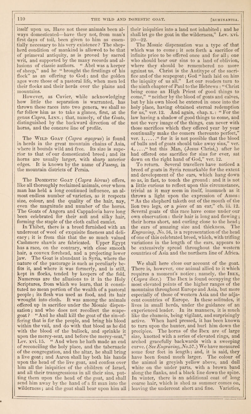 itself upon us, Have not these animals been al¬ ways domesticated—have they not, from man’s first days of toil, been given to him as essen¬ tially necessary to his very existence ? The shep¬ herd condition of mankind is allowed to be that of primeval antiquity, as is proved by sacred writ, and supported by the many records and al¬ lusions of classic authors. “ Abel was a keeper of sheep,” and he “ brought the firstlings of his flock” as an offering to God; and the golden ages were those of a pastoral life, when men led their flocks and their herds over the plains and mountains. However, as Cuvier, while acknowledging how little the separation is warranted, has thrown these races into two genera, we shall so far follow him as to take a glance, first, at the genus Capra, Linn. ; that, namely, of the Goats, distinguished by the backward direction of the horns, and the concave line of profile. The Wild Goat {Capra cegagrus') is found in herds in the great mountain chains of Asia, where it bounds wild and free. Its size is supe¬ rior to that of our domesticated breed; and its horns are usually larger, with sharp anterior edges. It is known by the name of Faseng, in the mountain districts of Persia. The Domestic Goat {Capra hircus) offers, like all thoroughly reclaimed animals, over whom man has held a long continued influence, an al¬ most endless number of varieties, as it respects size, colour, and the quality of the hair, nay, even the magnitude and number of the horns. The Goats of Angora and Cappadocia have long been celebrated for their soft and silky hair, forming the staple of the cloth called camlet. In Thibet, there is a breed furnished with an undercoat of wool of exquisite fineness and deli¬ cacy; it is from this that the so much valued Cashmere shawls are fabricated. Upper Egypt has a race, on the contrary, with close smooth hair, a convex forehead, and a projecting lower jaw. The Goat is abundant in Syria, where the nature of the pasturage is such as peculiarly be¬ fits it, and where it was formerly, and is still, kept in flocks, tended by keepers of the fold. Numerous are the allusions to it in the Holy Scriptures, from which we learn, that it consti¬ tuted no mean portion of the wealth of a pastoral people; its flesh was used as food, and its hair wrought into clothx It was among the animals offered up in sacrifice under the Mosaic dispen¬ sation ; and who does not recollect the scape¬ goat ? “ And he shall kill the goat of the sin-of¬ fering that is for the people, and bring his blood within the vail, and do with that blood as he did with the blood of the bullock, and sprinkle it upon the mercy-seat, and before the mercy-seat,” Lev. xvi. 15. “ And when he hath made an end of reconciling the holy place, and the tabernacle of the congregation, and the altar, he shall bring a live goat; and Aaron shall lay both his hands upon the head of the live goat, and confess over him all the iniquities of the children of Israel, and all their transgressions in all their sins, put¬ ting them upon the head of the goat, and shall send him away by the hand of a fit man into the wilderness ; and the goat shall bear upon him all DOMESTIC GOAT. [rumivantia. their iniquities into a land not inhabited; and he shall let go the goat in the wilderness,” Lev. xvi. 20—22. The Mosaic dispensation was a type of that which was to come ; it sets forth a sacrifice of infinite price to be offered once and for all; one who should bear our sins to a land of oblivion, where they should be remembered no more against us. Christ is the Antitype of the sacri¬ fice and of the scapegoat; God “ hath laid on him. the iniquity of us all.” Let our readers turn to the ninth chapter of Paul to the Hebrews : “ Christ being come an High Priest of good things to come,” “ neither by the blood of goats and calves, but by his own blood he entered in once into the holy place, having obtained eternal redemption for us,” ver. 12. And again, chap. x.: “ For the law having a shadow of good things to come, and not the very image of the things, can never with those sacrifices which they offered year by year continually make the comers thereunto perfect,” ver. 1,.“ for it is not possible that the blood of bulls and of goats should take away sins,” ver. 4,.“ but this Man, (Jesus Christ,) after he had offered one sacrifice for sins for ever, sat down on the right hand of God,” ver. 12. To return. Several travellers have noticed a breed of goats in Syria remarkable for the extent and development of the ears, which hang down so as, in fact, to touch the ground: and it is not a little curious to reflect upon this circumstance, trivial as it may seem in itself, inasmuch as it throws a light upon the expression of Amos: “ As the shepherd taketh out of the mouth of the lion two legs, or a piece of an ear,” ch. iii. 12. Several goats of this race have come under our own observation : their hair is long and flowing; their horns short, and curling close to the head; the ears of amazing size and thickness. The Engraving, No. 56, is a representation of the head of one of this celebrated breed, which, with trifling variations in the length of the ears, appears to be extensively spread throughout the western countries of Asia and the northern line of Africa. We shall here close our account of the goat. There is, however, one animal allied to it which requires a moment’s notice; namely, the Ibex, {Capra ibex.') The Ibex is found occupying the most elevated points of the higher ranges of the mountains throughout Europe and Asia, but more especially of those of western Asia and the adja¬ cent countries of Europe. In these solitudes, it lives in small herds, under the guidance of an experienced leader. In its manners, it is much like the chamois, being vigilant, and surprisingly active. When hard pressed, it has been known to turn upon the hunter, and hurl him down the precipice. The horns of the Ibex are of large size, knotted with a series of elevated rings, and arched gracefully backwards with a sweeping curve. {SeeEngraving, No.57.) We have measured some four feet in length; and, it is said, they have been found much larger. The colour of the animal is greyish yellow above, and dull white on the under parts, with a brown band along the flanks, and a black line down the spine. In winter, there is an additional coat of long coarse hair, which is shed as summer comes on, leaving the undercoat short and fine. Varieties,
