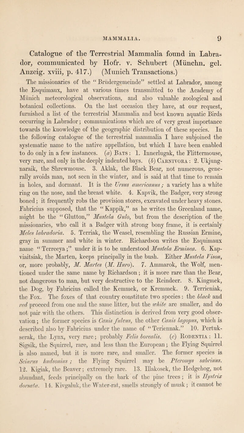 Catalogue of tlie Terrestrial Mammalia found in Labra¬ dor, communicated by Hofr. v. Schubert (Miinclin. gel. Anzeig, xviii, p. 417.) (Munich Transactions.) The missionaries of the “ Brüdergemeinde” settled at Labrador, among the Esquimaux, have at various times transmitted to the Academy of Munich meteorological observations, and also valuable zoological and botanical collections. On the last occasion they have, at our request, furnished a list of the terrestrial Mammalia and best known aquatic Birds occurring in Labrador; communications which are of very great importance towards the knowledge of the geographic distribution of these species. In the following catalogue of the terrestrial mammalia I have subjoined the systematic name to the native appellation, but which I have been enabled to do only in a few instances, (a) Bats : 1. Innerlugak, the Elittermouse, very rare, and only in the deeply indented bays. (b) Carnivora. : 2. Ukjung- naraik, the Shrewmouse. 3. Aklak, the Black Bear, not numerous, gene¬ rally avoids man, not seen in the winter, and is said at that time to remain in holes, and dormant. It is the Ursus americanus; a variety has a white ring on the nose, and the breast white. 4. Kapvik, the Badger, very strong boned; it frequently robs the provision stores, excavated under heavy stones. Eabricius supposed, that the cc Kappik,” as he writes the Greenland name, might be the cc Glutton,” Mustela Gulo, but from the description of the missionaries, who call it a Badger with strong bony frame, it is certainly Moles labradoria. 5. Terriak, the Weasel, resembling the Russian Ermine, gray hi summer and white in winter. Richardson writes the Esquimaux name cc Terreeya ;” under it is to be understood Mustela JErminea. 6. Kap- viaitsiak, the Marten, keeps principally in the bush. Either Mustela Vison, or, more probably, M. Martes (M. Huro). 7. Ammarok, the Wolf, men¬ tioned under the same name by Richardson; it is more rare than the Bear, not dangerous to man, but very destructive to the Reindeer. 8. Kingmek, the Log, by Eabricius called the Kemmek, or Kremmek. 9. Terrieniak, the Eox. The foxes of that country constitute two species: the black and red proceed from one and the same litter, but the white are smaller, and do not pair with the others. This distinction is derived from very good obser¬ vation ; the former species is Cards fulvus, the other Cams lag opus, which is described also by Eabricius under the name of “ Teriennak.” 10. Pertuk- serak, the Lynx, very rare; probably Felis borealis, (c) Rodentia : 11. Sigsik, the Squirrel, rare, and less than the European; the Elying Squirrel is also named, but it is more rare, and smaller. The former species is Sciurus hudsonius; the Plying Squirrel may be Fteromys sabrinus. 12. Kigiak, the Beaver; extremely rare, 13. Illakosek, the Hedgehog, not abundant, feeds principally on the bark of the pine trees; it is Hystrix dorsata. 14. Kivgaluk, the Water-rat, smells strongly of musk; it cannot be