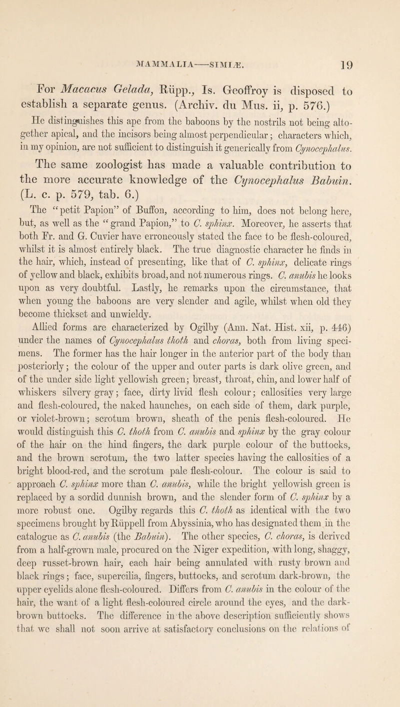 For Macacus Gelada, Riipp., Is. Geoffroy is disposed to establish a separate genus. (Archiv, du Mus. ii, p. 576.) He distinguishes this ape from the baboons by the nostrils not being alto¬ gether apical, and the incisors being almost perpendicular; characters which, in my opinion, are not sufficient to distinguish it generically from Cynocephalus. The same zoologist has made a valuable contribution to the more accurate knowledge of the Cynocephalus Babuin. (L. e. p. 579, tab. 6.) The “ petit Papion” of Buffon, according to him, does not belong here, but, as well as the  grand Papion,” to C. sphinx. Moreover, he asserts that both Pr. and G. Cuvier have erroneously stated the face to be flesh-coloured, whilst it is almost entirely black. The true diagnostic character he finds in the hair, which, instead of presenting, like that of C. sphinx, delicate rings of yellow and black, exhibits broad, and not numerous rings. C. anubis he looks upon as very doubtful. Lastly, he remarks upon the circumstance, that when young the baboons are very slender and agile, whilst when old they become thickset and unwieldy. Allied forms are characterized by Ogilby (Ami. Nat. Hist, xii, p. 446) under the names of Cynocephalus thoth and choras, both from living speci¬ mens. The former has the hair longer in the anterior part of the body than posteriorly; the colour of the upper and outer parts is dark olive green, and of the under side light yellowish green; breast, throat, chin, and lower half of whiskers silvery gray; face, dirty livid flesh colour; callosities very large and flesh-coloured, the naked haunches, on each side of them, dark purple, or violet-brown; scrotum brown, sheath of the penis flesh-coloured. He would distinguish this C. thoth from C. anubis and sphinx by the gray colour of the hair on the hind fingers, the dark purple colour of the buttocks, and the brown scrotum, the two latter species having the callosities of a bright blood-red, and the scrotum pale flesh-colour. The colour is said to approach C. sphinx more than C. anubis, while the bright yellowish green is replaced by a sordid donnish brown, and the slender form of C. sphinx by a more robust one. Ogilby regards this C. thoth as identical with the two specimens brought byRiippell from Abyssinia, who has designated them in the catalogue as C. anubis (the Babuin). The other species, C. choras, is derived from a half-grown male, procured on the Niger expedition, with long, shaggy, deep russet-brown hair, each hair being annulated with rusty brown and black rings; face, supercilia, fingers, buttocks, and scrotum dark-brown, the upper eyelids alone flesh-coloured. Differs from C. anubis in the colour of the hair, the want of a light flesh-coloured circle around the eyes, and the dark- brown buttocks. The difference in the above description sufficiently shows that we shall not soon arrive at satisfactory conclusions on the relations o!