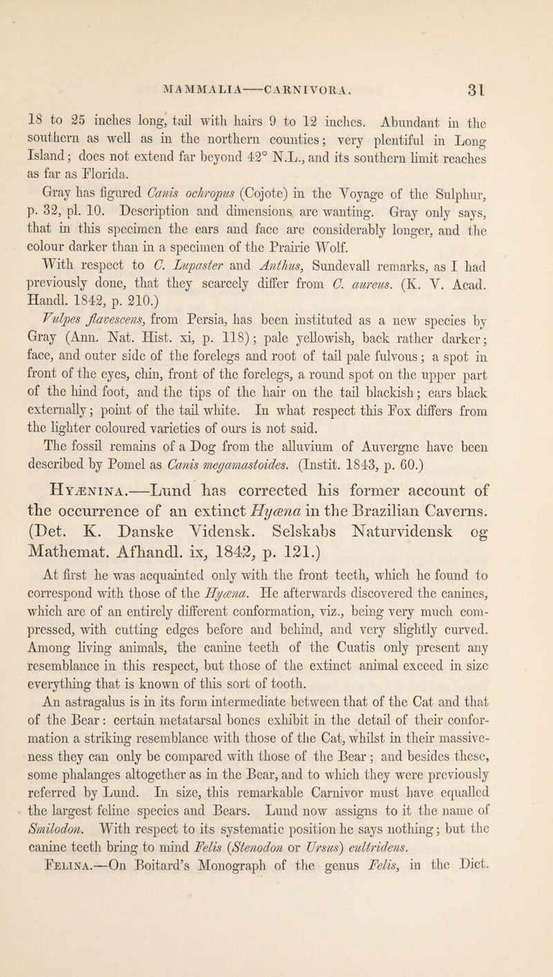 18 to 25 inches long, tail with hairs 9 to 12 inches. Abundant in the southern as well as in the northern counties; very plentiful in Long Island; does not extend far beyond 42° N.L., and its southern limit reaches as far as Florida. Gray has figured Cams ochropus (Cojote) in the Yoyage of the Sulphur, p. 32, pi. 10. Description and dimensions are wanting. Gray only says, that in this specimen the ears and face are considerably longer, and the colour darker than in a specimen of the Prairie Wolf. With respect to C. Lupaster and Anthus, Sundevall remarks, as I had previously done, that they scarcely differ from C. aureus. (K. Y. Acad. Handl. 1842, p. 210.) Vulpes flavescens, from Persia, has been instituted as a new species by Gray (Ann. Nat. Hist, xi, p. 118); pale yellowish, back rather darker; face, and outer side of the forelegs and root of tail pale fulvous; a spot in front of the eyes, chin, front of the forelegs, a round spot on the upper part of the hind foot, and the tips of the hair on the tail blackish; ears black externally; point of the tail white. In what respect this Pox differs from the lighter coloured varieties of ours is not said. The fossil remains of a Dog from the alluvium of Auvergne have been described by Pomel as Cards megamastoides. (Instit. 1843, p. 60.) II \m:Nina.—Lund lias corrected liis former account of tlie occurrence of an extinct Hyaena in the Brazilian Caverns. (Det. K. Danske Vidensk. Selskabs Naturvidensk og Mathemat. Afliandl. ix, 1844k, p. 121.) At first he was acquainted only with the front teeth, which he found to correspond with those of the Ilycena. He afterwards discovered the canines, which are of an entirely different conformation, viz., being very much com¬ pressed, with cutting edges before and behind, and very slightly curved. Among living animals, the canine teeth of the Cuatis only present any resemblance in this respect, but those of the extinct animal exceed in size everything that is known of this sort of tooth. An astragalus is in its form intermediate between that of the Cat and that of the Pear: certain metatarsal bones exhibit in the detail of their confor¬ mation a striking resemblance with those of the Cat, whilst in their massive¬ ness they can only be compared with those of the Bear ; and besides these, some phalanges altogether as in the Bear, and to which they were previously referred by Lund. In size, this remarkable Carnivor must have equalled the largest feline species and Bears. Lund now assigns to it the name of Smilodon. With respect to its systematic position he says nothing; but the canine teeth bring to mind Felis [ßtenodon or Ursus) eultridens. Pelina.—On BoitardA Monograph of the genus Felis, in the Diet.