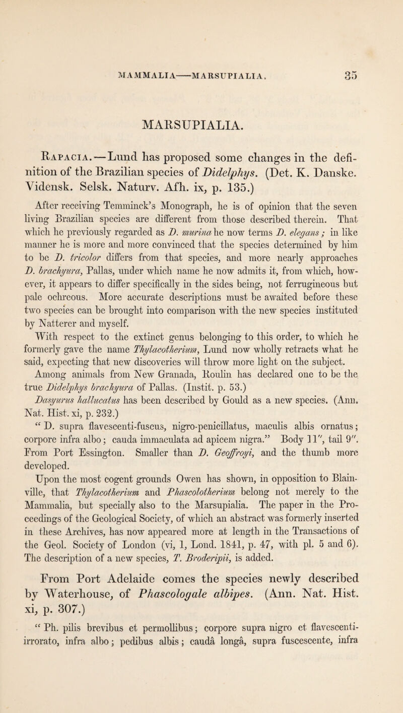 MAMMALIA MARSUPI ALIA, QX U'J MARSUPIALIA. Rapacia.— Lund has proposed some changes in the defi¬ nition of the Brazilian species of Didelphys. (Det. K. Danske. Vidensk. Selsk. Naturv. Afh. ix, p. 135.) After receiving Temminck’s Monograph, he is of opinion that the seven living Brazilian species are different from those described therein. That which he previously regarded as 1). murina he now terms I), elegans ; in like maimer he is more and more convinced that the species determined by him to be D. tricolor differs from that species, and more nearly approaches I). Irachyura, Pallas, under which name he now admits it, from which, how¬ ever, it appears to differ specifically in the sides being, not ferrngineons but pale ochreous. More accurate descriptions must be awaited before these two species can be brought into comparison with the new species instituted by Natterer and myself. With respect to the extinct genus belonging to this order, to which he formerly gave the name Thylacotherium, Lund now wholly retracts what he said, expecting that new discoveries will throw more light on the subject. Among animals from New Granada, Roulin has declared one to be the true Didelphys Irachyura of Pallas. (Instit. p. 53.) Dasyurus hallucatus has been described by Gould as a new species. (Ann. Nat. Hist, xi, p. 232.) “ D. supra flavescenti-fuscus, nigro-penicillatus, maculis albis ornatus; corpore infra albo; cauda immaeulata ad apicem nigra.5’ Body ll'b tail 9. Prom Port Essington. Smaller than D. Geoffroyi, and the thumb more developed. Upon the most cogent grounds Owen has shown, in opposition to Blain- ville, that Thylacotherium and Phascolotherium belong not merely to the Mammalia, but specially also to the Marsupialia. The paper in the Pro¬ ceedings of the Geological Society, of which an abstract was formerly inserted in these Archives, has now appeared more at length in the Transactions of the Geol. Society of London (vi, 1, Lond. 1841, p. 47, with pi. 5 and 6). The description of a new species, T. Broderipii, is added. From Port Adelaide comes the species newly described by Waterhouse, of Phascologale albipes. (Ann. Nat. Hist, xi, p. 307.) cc Ph. pilis brevibus et permollibus; corpore supra nigro et flavescenti- irrorato, infra albo; pedibus albis; caudä longa, supra fuscescente, inlra