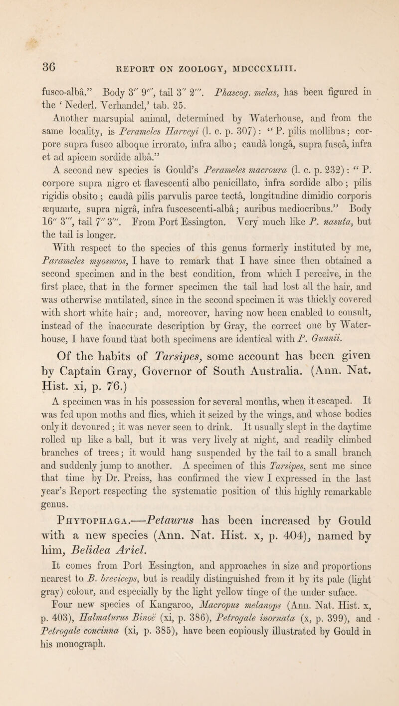 fusco-alba.” Body 3 9', tail 3 2'. Phascog. melas, has been figured in the c Nederl. Yerhandel,’ tab. 25. Another marsupial animal, determined by Waterhouse, and from the same locality, is Perameles Harveyi (1. c. p. 307): “ P. pills mollibus; cor¬ pore supra fusco alboque irrorato, infra albo; cauda longa, supra fusca, infra et ad apicem sordide alba.” A second new species is Gould’s Perameles macroura (1. c. p. 232): “ P. corpore supra nigro et flavescenti albo penicillato, infra sordide albo; pills rigidis obsito ; cauda pilis parvulis parce tecta, longitudine dimidio corporis sequante, supra nigra, infra fuscescenti-alba; auribus mediocribus.” Body 10 3', tail 7 3'. Prom Port Essington. Yery much like P. nasuta. but the tail is longer. With respect to the species of this genus formerly instituted by me, Parameies myosuros, I have to remark that I have since then obtained a second specimen and in the best condition, from which I perceive, in the first place, that in the former specimen the tail had lost all the hair, and was otherwise mutilated, since in the second specimen it was thickly covered with short white hair; and, moreover, having now been enabled to consult, instead of the inaccurate description by Gray, the correct one by Water- house, I have found that both specimens are identical with P. G-unnii. Of the habits of Tarsipes, some account has been given by Captain Gray, Governor of South Australia. (Ann. Nat. Hist, xi, p. 76.) A specimen was in his possession for several months, when it escaped. It was fed upon moths and flies, which it seized by the wings, and whose bodies oidy it devoured; it was never seen to drink. It usually slept in the daytime rolled up like a ball, but it was very lively at night, and readily climbed branches of trees; it would hang suspended by the tail to a small branch and suddenly jump to another. A specimen of this Tarsipes, sent me since that time by Dr. Preiss, has confirmed the view I expressed in the last year’s Report respecting the systematic position of this highly remarkable genns. Phytophaga.—Petaurus has been increased by Gould with a new species (Ann. Nat. Hist, x, p. 404), named by him, Belidea Ariel. It comes from Port Essington, and approaches in size and proportions nearest to B. breviceps, but is readily distinguished from it by its pale (light gray) colour, and especially by the light yellow tinge of the under suface. Eour new species of Kangaroo, Macropus melanops (Ann. Nat. Hist, x, p. 403), Halmaturus Binoe (xi, p. 386), Petrogale inornata (x, p. 399), and Petrogale concinna (xi, p. 385), have been copiously illustrated by Gould in his monograph.