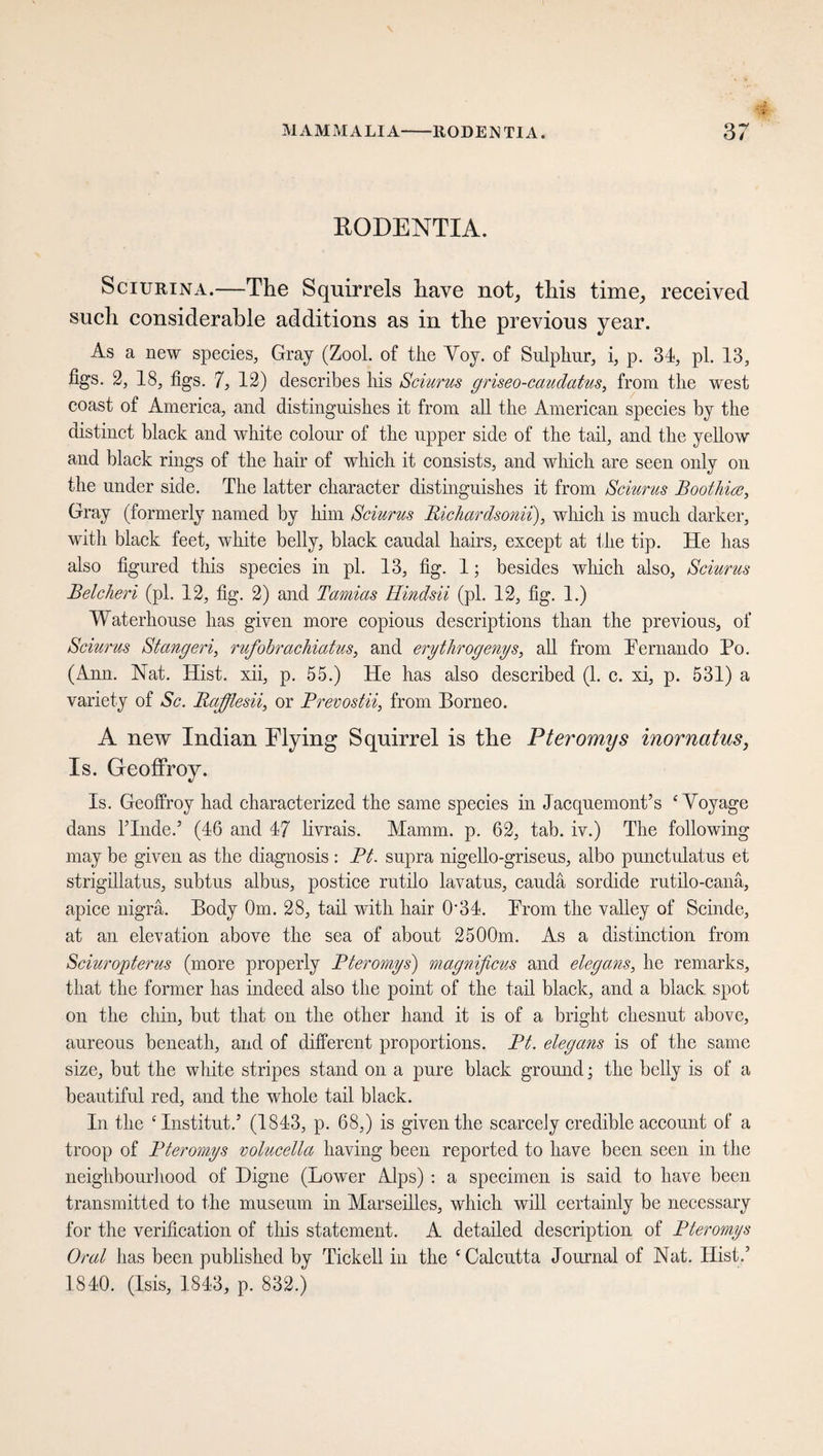 KODENTIA. Sciurina.—The Squirrels have not, this time, received such considerable additions as in the previous year. As a new species, Gray (Zool. of the Voy. of Sulphur, i, p. 34, pi. 13, figs. 2, 18, figs. 7, 12) describes his Sciurus griseo-cauclatus, from the west coast of America, and distinguishes it from all the American species by the distinct black and white colour of the upper side of the tail, and the yellow and black rings of the hair of which it consists, and which are seen only on the under side. The latter character distinguishes it from Sciurus Boothia, Gray (formerly named by him Sciurus Richardsonii), which is much darker, with black feet, white belly, black caudal hairs, except at the tip. He has also figured this species in pi. 13, fig. 1; besides which also, Sciurus Belcheri (pi. 12, fig. 2) and Tamias Hindsii (pi. 12, fig. 1.) Waterhouse has given more copious descriptions than the previous, of Sciurus Stangen, rufohrachiatus, and erythrogenys, all from Pernando Po. (Ann. Nat. Hist, xii, p. 55.) He has also described (1. c. xi, p. 531) a variety of Sc. Rafflesii, or JPrevostii, from Borneo. A new Indian Flying Squirrel is the Pteromys inornatus, Is. Geoffroy. Is. Geoffroy had characterized the same species in Jacquemont’s c Voyage dans Finde.’ (46 and 47 livrais. Mamm. p. 62, tab. iv.) The following may be given as the diagnosis : Pt. supra nigello-griseus, albo punctulatus et strigillatus, subtus albus, postice rutilo lavatus, caudä sordide rutilo-canä, apice nigra. Body Om. 28, tail with hair 0‘34. Prom the valley of Scinde, at an elevation above the sea of about 2500m. As a distinction from Sciuropterus (more properly Pteromys) magnificus and elegans, he remarks, that the former has indeed also the point of the tail black, and a black spot on the chin, but that on the other hand it is of a bright chesnut above, aureous beneath, and of different proportions. Pt. elegans is of the same size, but the white stripes stand on a pure black ground; the belly is of a beautiful red, and the whole tail black. In the ‘Institut.’ (1843, p. 68,) is given the scarcely credible account of a troop of Pteromys volucella having been reported to have been seen in the neighbourhood of Digne (Lower Alps) : a specimen is said to have been transmitted to the museum in Marseilles, which will certainly be necessary for the verification of this statement. A detailed description of Pteromys Oral lias been published by Tickell in the ‘Calcutta Journal of Nat. Hist.’ 1840. (Isis, 1843, p. 832.)