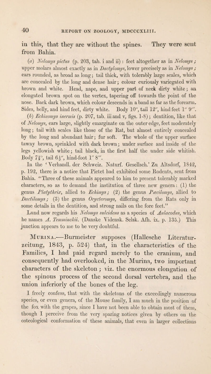 in this, that they are without the spines. They were sent from Baliia. (a) Nelomys pidus (p. 203, tab. i and ii) : feet altogether as in Nelomys ; upper molars almost exactly as in Dactylomys, lower precisely as in Nelomys ; ears rounded, as broad as long; tail thick, with tolerably large scales, which are concealed by the long and dense hair; colour curiously variegated with brown and white. Head, nape, and upper part of neck dirty white; an elongated brown spot on the vertex, tapering off towards the point of the nose. Back dark brown, which colour descends in a band as far as the forearm. Sides, belly, and hind feet, dirty white. Body 10, tail 12, hind feet 1 9'. (b) JEchinomys inermis (p. 207, tab. iiiand v, figs. 1-8); dentition, like that of Nelomys, ears large, slightly emarginate on the outer edge, feet moderately long; tail with scales like those of the Hat, but almost entirely concealed by the long and abundant hair; fur soft. The whole of the upper surface tawny brown, sprinkled with dark brown; under surface and inside of the legs yellowish white; tail black, in the first half the under side whitish. Body 7 h'', tail 6 §, hind-foot 1 8'. In the c Yerhandl. der Schweiz. Naturf. Gesellsch.’ Zu Altsdorf, 1812, p. 192, there is a notice that Pictet had exhibited some Rodents, sent from Bahia. “Three of these animals appeared to him to present tolerably marked characters, so as to demand the institution of three new genera: (1) the genus Platythrix, allied to JEchimys; (2) the genus Pcecilomys, allied to Bactilomys ; (3) the genus Orycteromys, differing from the Bats only in some details in the dentition, and strong nails on the fore feet.” Lund now regards his Nelomys sulcidens as a species of Aulacodus, which he names A. Temminckii. (Danske Yidensk. Selsk. Afh. ix. p. 135.) This junction appears to me to be very doubtful. Murina.—Burmeister supposes (Hallesche Literatur¬ zeitung, 1843, p. 524) that, in the characteristics of the Families, I had paid regard merely to the cranium, and consequently had overlooked, in the Murina, two important characters of the skeleton; viz. the enormous elongation of the spinous process of the second dorsal vertebra, and the union inferiorly of the bones of the leg. I freely confess, that with the skeletons of the exceedingly numerous species, or even genera, of the Mouse family, I am much in the position of the fox with the grapes, since I have not been able to obtain most of them, though I perceive from the very sparing notices given by others on the osteological conformation of these animals, that even in larger collections