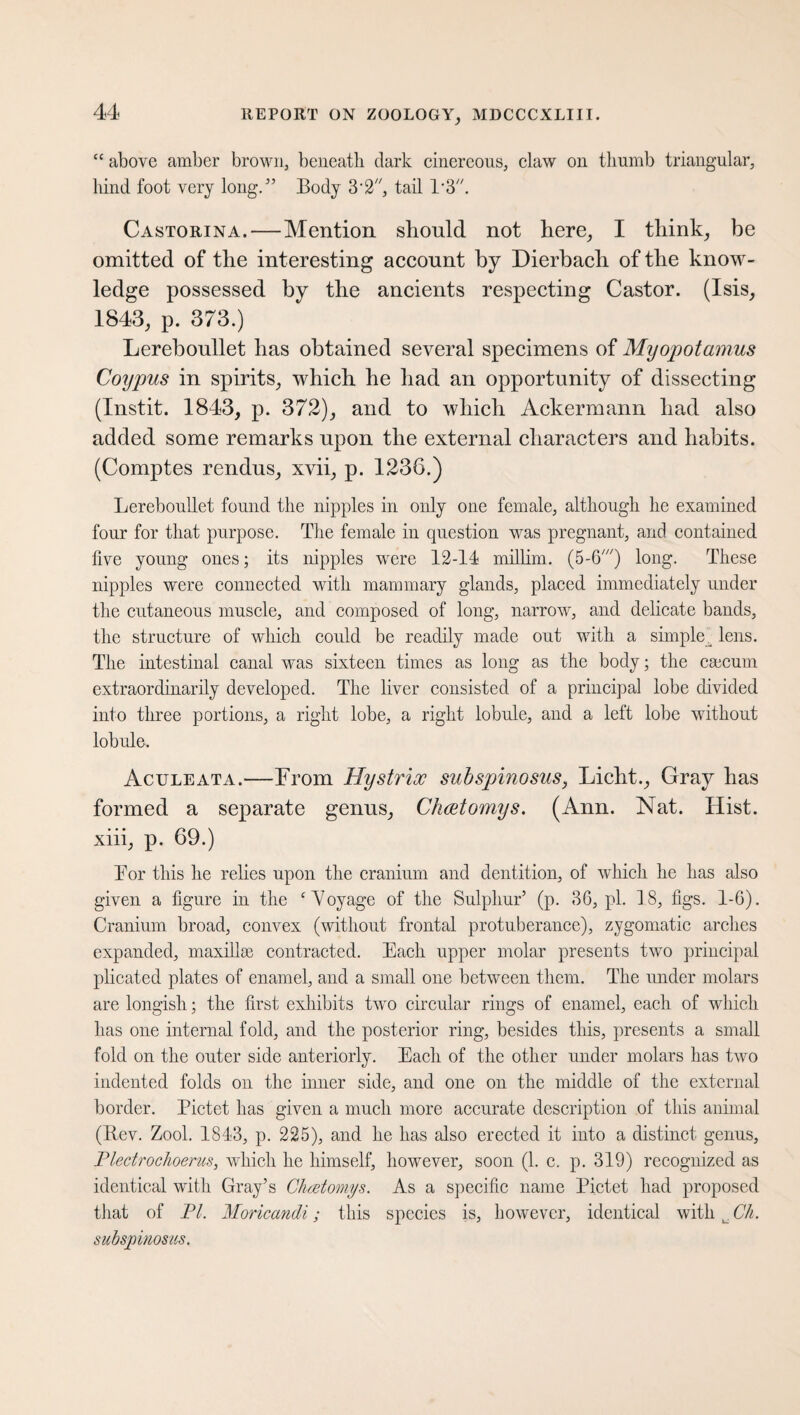 “ above amber brown, beneath dark cinereous, claw on thumb triangular, hind foot very long.55 Body 3-2, tail P3. Castorin a. — Mention should not here, I think, be omitted of the interesting account by Dierbach of the know¬ ledge possessed by the ancients respecting Castor. (Isis, 1843, p. 373.) Lereboullet has obtained several specimens of Myoptotamus Coypus in spirits, which he had an opportunity of dissecting (Instit. 1843, p. 372), and to which Ackermann had also added some remarks upon the external characters and habits. (Comptes rendus, xvii, p. 1236.) Lereboullet found the nipples in only one female, although he examined four for that purpose. The female in question was pregnant, and contained five young ones; its nipples were 12-14 millim. (5-6') long. These nipples were connected with mammary glands, placed immediately under the cutaneous muscle, and composed of long, narrow, and delicate bands, the structure of which could be readily made out with a simple lens. The intestinal canal was sixteen times as long as the body; the caecum extraordinarily developed. The liver consisted of a principal lobe divided into three portions, a right lobe, a right lobule, and a left lobe without lobule. Aculeata.—From Hystrix subspinosus, Licht., Gray has formed a separate genus, Chatomys. (Ann. Nat. Hist, xiii, p. 69.) For this he relies upon the cranium and dentition, of which he has also given a figure in the ‘Yoyage of the Sulphur5 (p. 36, pi. 18, figs. 1-6). Cranium broad, convex (without frontal protuberance), zygomatic arches expanded, maxillse contracted. Each upper molar presents two principal plicated plates of enamel, and a small one between them. The under molars are longish; the first exhibits two circular rings of enamel, each of which has one internal fold, and the posterior ring, besides this, presents a small fold on the outer side anteriorly. Each of the other under molars has two indented folds on the inner side, and one on the middle of the external border. Pictet has given a much more accurate description of this annual (Rev. Zool. 1843, p. 225), and he has also erected it into a distinct genus, Plectrochoerus, which he himself, however, soon (1. c. p. 319) recognized as identical with Gray’s Ohuetomys. As a specific name Pictet had proposed that of PI. Moricandi; this species is, however, identical with l Ch. subspinosus.