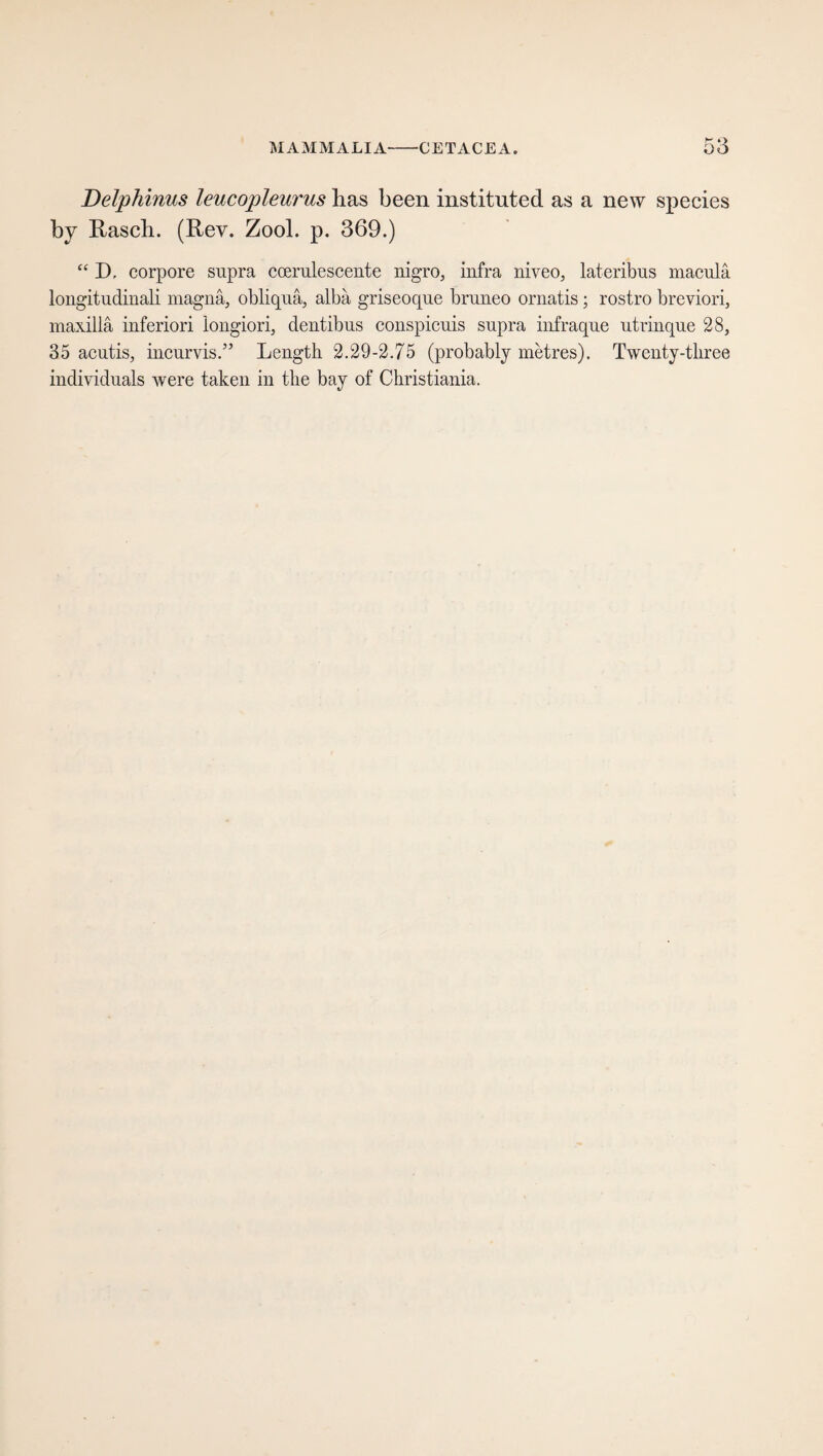 Delphinus leucopleurus has been instituted as a new species by Rasch. (Rev. Zool. p. 369.) “ I), corpore supra coerulescente nigro, infra niveo, lateribus macula longitudinali magna, obliquä, alba griseoque bruneo ornatis; rostro brcviori, maxilla inferiori longiori, dentibus conspicuis supra infraque utrinque 28, 35 acutis, incurvis.” Length 2.29-2.75 (probably metres). Twenty-three individuals were taken in the bay of Christiania.