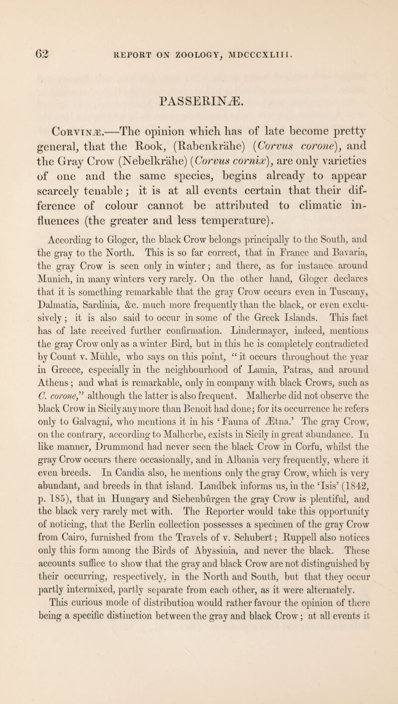 PASSERINE. CorvinyE.—The opinion which has of late become pretty general, that the Rook, (Rabenkrähe) (Corvus cor one), and the Gray Crow (Nebelkrähe) (Corvus cornix), are only varieties of one and the same species, begins already to appear scarcely tenable; it is at all events certain that their dif¬ ference of colour cannot be attributed to climatic in¬ fluences (the greater and less temperature). According to Gloger, the black Crow belongs principally to the South, and the gray to the North. This is so far correct, that in Prance and Bavaria, the gray Crow is seen only in winter; and there, as for instance around Munich, in many winters very rarely. On the other hand, Gloger declares that it is something remarkable that the gray Crow occurs even in Tuscany, Dalmatia, Sardinia, &c. much more frequently than the black, or even exclu¬ sively ; it is also said to occur in some of the Greek Islands. This fact has of late received further confirmation. Lindermayer, indeed, mentions the gray Crow only as a winter Bird, but in this lie is completely contradicted by Count v. Mühle, who says on this point, “ it occurs throughout the year in Greece, especially in the neighbourhood of Lamia, Patras, and around Athens; and what is remarkable, only in company with black Crows, such as C. cor one” although the latter is also frequent. Malherbe did not observe the black Crow in Sicily anymore than Benoit had done; for its occurrence he refers only to Galvagni, who mentions it in his cPauna of iEtna.’ The gray Crow, on the contrary, according to Malherbe, exists in Sicily in great abundance. In like manner, Drummond had never seen the black Crow in Corfu, whilst the gray Crow occurs there occasionally, and in Albania very frequently, where it even breeds. In Candia also, he mentions only the gray Crow, which is very abundant, and breeds in that island. Landbek informs us, in the ‘Isis’ (1842, p. 185), that in Hungary and Siebenbürgen the gray Crow is plentiful, and the black very rarely met with. The Reporter would take this opportunity of noticing, that the Berlin collection possesses a specimen of the gray Crow from Cairo, furnished from the Travels of v. Schubert; Ruppell also notices only this form among the Birds of Abyssinia, and never the black. These accounts suffice to show that the gray and black Crow are not distinguished by their occurring, respectively, in the North and South, but that they occur partly intermixed, partly separate from each other, as it were alternately. This curious mode of distribution would rather favour the opinion of there being a specific distinction between the gray and black Crow; at all events it