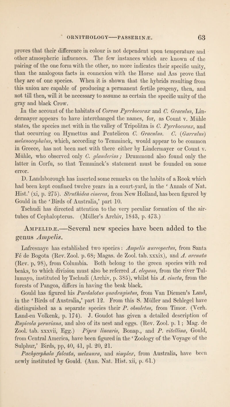 proves that their difference in colour is not dependent upon temperature and other atmospheric influences. The few instances which are known of the pairing of the one form with the other, no more indicates their specific unity, than the analogous facts in connexion with the Iiorse and Ass prove that they are of one species. When it is shown that the hybrids resulting from this union are capable of producing a permanent fertile progeny, then, and not till then, will it be necessary to assume as certain the specific unity of the gray and black Crow. In the account of the habitats of Corvus PyrrJiocorax and C. Graculus, Lin- dermaver appears to have interchanged the names, for, as Count v. Mühle states, the species met with in the valley of Tripolitza is C. PyrrJiocorax, and that occurring on Hymettus and Pentelicon C. Graculus. C. {Garrulus') melanocephalus, which, according to Temminck, would appear to be common in Greece, has not been met with there either by Lindermayer or Count v. Mühle, who observed only C. glanderms; Drummond also found only the latter in Corfu, so that Temminck5s statement must be founded on some error. D. Landsborough has inserted some remarks on the habits of a Hook which had been kept confined twelve years in a court-yard, in the £ Annals of Nat. Hist.5 (xi, p. 275). Struthidea cinerea, from New Holland, has been figured by Gould in the Birds of Australia,5 part 10. Tschudi has directed attention to the very peculiar formation of the air- tubes of Cephalopterus. (Midler’s Archiv, 1843, p. 473.) Ampelid^e.—Several new species have Been added to the genus Ampelis. Lafresnaye has established two species: Ampelis aureopectus, from Santa Be de Bogota (Bev. Zool. p. 68; Magas, de Zool. tab. xxxix), and A. arcuata (Rev. p, 98), from Columbia. Both belong to the green species with red beaks, to which division must also be referred A. elegans, from the river Tul- lumayo, instituted by Tschudi (Archiv, p. 385), whilst his A. cincta, from the forests of Pangoa, differs in having the beak black. Gould has figured his Pardalotus quadragintus, from Van Diemen’s Land, in the Birds of Australia,5 part 12. Prom this S, Midler and Schlegel have distinguished as a separate species their P. obsoletus, from Timor. (Verh. Land-en Volkenk, p. 174). J. Goudot has given a detailed description of Rupicola peruviana, and also of its nest and eggs. (Rev. Zook p. 1; Mag. de Zook tab. xxxvii, Egg.) Piprci linearis, Bonap., and P. vitellina, Gould, from Central America, have been figured in the  Zoology of the Voyage of the Sulphur,5 Birds, pp, 40, 41, pi. 20, 21. Pachycepliala falcata, melanura, and simplex, from Australia, have been newly instituted by Gould. (Ann. Nat. Hist, xii, p. 61.)
