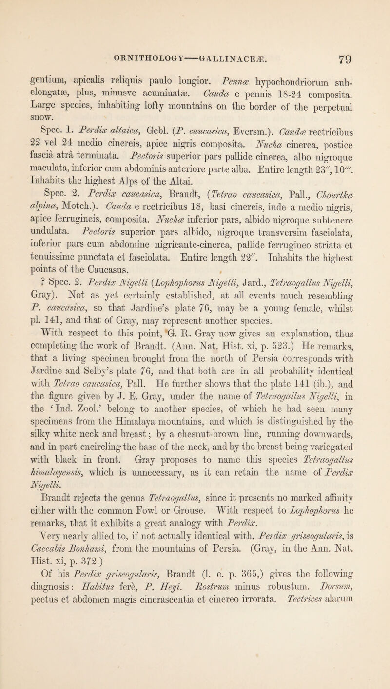 gentium, apicalis reliquis paulo longior. Penure hypochondriorum sub- elongatse, plus, minusve acuminatae. Caucla e pennis 18-24 composita. Large species, inhabiting lofty mountains on the border of the perpetual snow. Spec. 1. Perdix altaica, Gebl. (P. caucasica, Eversm.). Caudee rectricibus 22 vel 24 medio cinereis, apice nigris composita. Nucha cinerea, postice fascia atra terminata. Pectoris superior pars pallide cinerea, albo nigroque maculata, inferior cum abdominis anteriore parte alba. Entire length 23//, 10'. Inhabits the highest .Alps of the Altai. Spec. 2. Perdix caucasica, Brandt, (Tetrao caucasica, Pall., Chourtka alpina, Motcli.), Caucla e rectricibus 18, basi cinereis, inde a medio nigris, apice ferrugineis, composita. Nuchce inferior pars, albido nigroque subtenere undulata. Pectoris superior pars albido, nigroque transversim fasciolata, inferior pars cum abdomine nigricante-cinerea, pallide ferrugineo striata et tenuissime punctata et fasciolata. Entire length 22. Inhabits the highest points of the Caucasus. F Spec. 2. Perdix Nigelli {Lophophorus Nigelli, Jard., Tetraogallus Nigelli, Gray). Not as yet certainly established, at all events much resembling P. caucasica, so that Jardine’s plate 76, may be a young female, whilst pi. ] 41, and that of Gray, may represent another species. With respect to this point, G. It, Gray now gives an explanation, thus completing the work of Brandt. (Ann. Nat. Hist, xi, p. 523.) He remarks, that a living specimen brought from the north of Persia corresponds with Jardine and Selby’s plate 76, and that both are in all probability identical with Tetrao caucasica, Pall. He further shows that the plate 141 (ib.), and the figure given by J. E. Gray, under the name of Tetraogallus Nigelli, in the c Ind. Zool.’ belong to another species, of which he had seen many specimens from the Himalaya mountains, and which is distinguished by the silky white neck and breast; by a chesnut-brown line, running downwards, and in part encircling the base of the neck, and by the breast being variegated with black in front. Gray proposes to name this species Tetraogallus himalayensis, which is unnecessary, as it can retain the name of Perdix Nigelli. Brandt rejects the genus Tetraogallus, since it presents no marked affinity either with the common Eowl or Grouse. With respect to Lophophorus lie remarks, that it exhibits a great analogy with Perdix. Yery nearly allied to, if not actually identical with, Perclix griseogularis, is Caccahis Bonhami, from the mountains of Persia. (Gray, in the Ann. Nat. Hist, xi, p. 372.) Of his Perdix griseogularis, Brandt (1. c. p. 365,) gives the following diagnosis: Habitus fere, P. ITeyi. Rostrum minus robustum. Porsum, pectus et abdomen magis cinerascentia et cinereo irrorata. Tectrices alarum