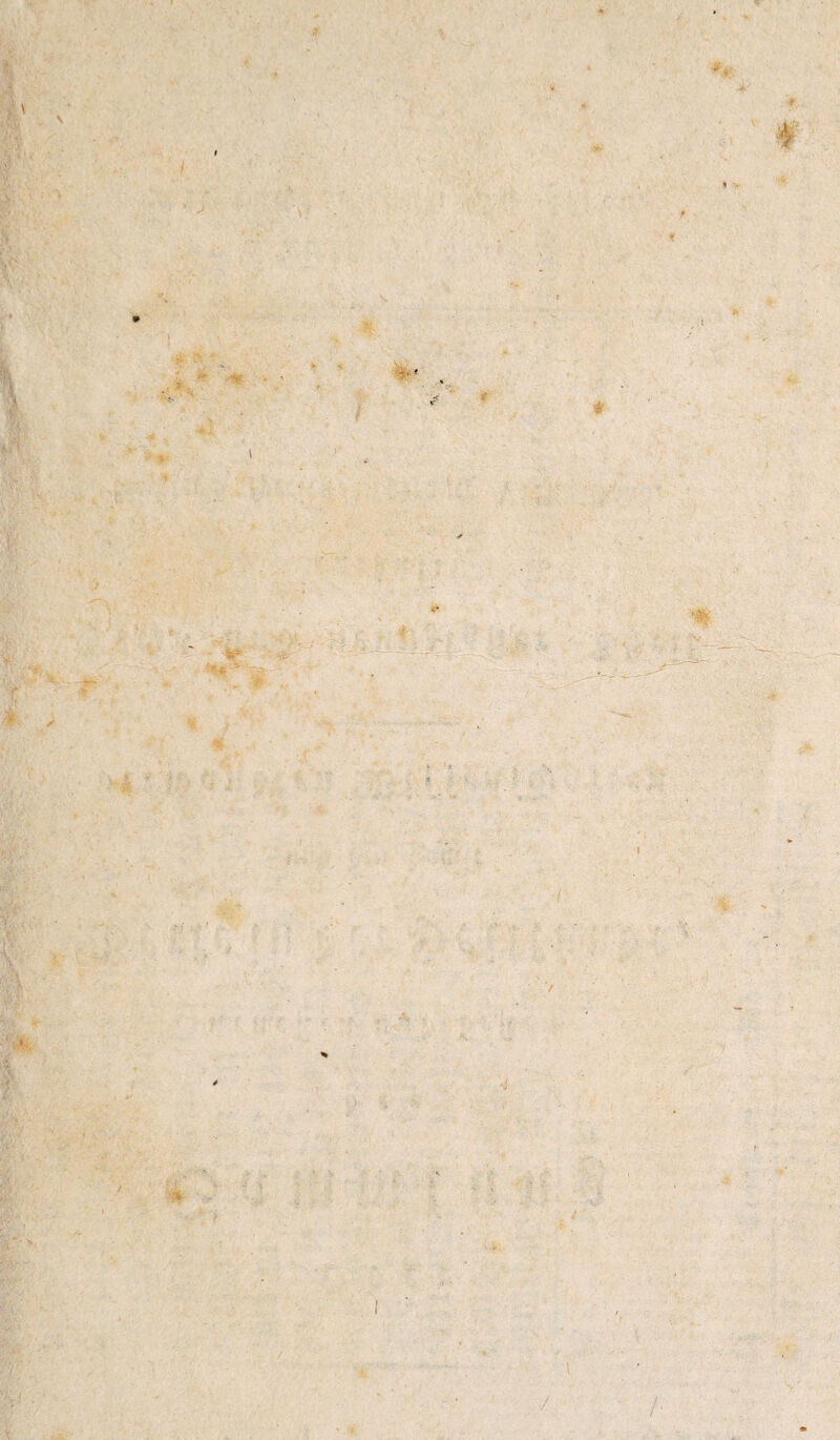 # % ■/ \ f \ .t ' - ■ . f f \ \ \ /• /