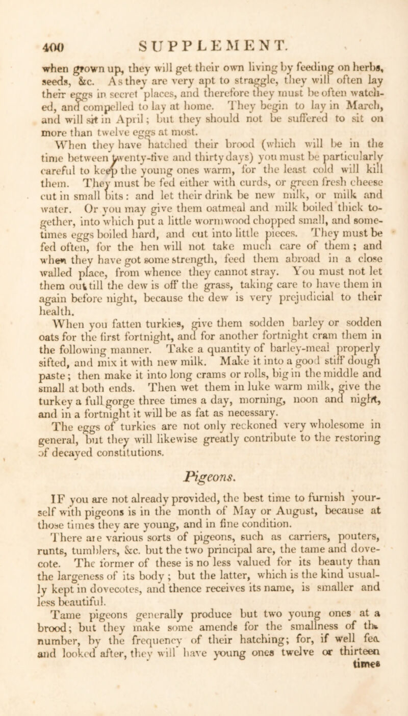 when grown up, they will get their own living by feeding on herbs, seeds, 8zc. As they are very apt to straggle, they will often lay their eggs in secret places, and therefore they must be often watch- ed, andcompelled to lay at home. They begin to lay in March, and will sit in Apiil; but they should not be suffered to sit on more than twelve eggs at most. When they have hatched their brood (which will l>e in the time between Uventy-tive and thirty days) you must be particularly careful to keep the young ones warm, for the least cold will kill them. They must be fed either with curds, or green fresh cheese cut in small bits: and let their drink he new milk, or milk and water. Or you may give them oatmeal and milk boiled thick to- gether, into which put a little wormwood chopped small, and some- times eggs boiled hard, and cut into little pieces. They must be fed often, for the hen will not take much care of them ; and when they have got some strength, feed them abroad in a close walled place, from whence they cannot stray. You must not let them 011V till the dew is off the grass, taking care to have them in again before night, because the dew is very prejudicial to their health. When you fatten turkies, give them sodden barley or sodden oats for the first fortnight, and for another fortnight cram them in the following manner. Take a quantity of barley-meal properly sifted, and mix it with new milk. Make it into a good stiff dough paste; then make it into long crams or rolls, big in the middle and small at hot!) ends. Then wet them in luke warm milk, <dve the turkey a full gorge three times a day, morning, noon and night, and in a fortnight it will be as fat as necessary. The eggs of turkies are not only reckoned very wholesome in general, but they will likewise greatly contribute to the restoring of decayed constitutions. Pigeons. IF you are not already provided, the best time to furnish your- self with pigeons is in the month of May or August, because at those times they are young, and in fine condition. There aie various sorts of pigeons, such as carriers, pouters, runts, tumblers, &c. but the two principal are, the tame and dove- cote. The former of these is no less valued for its beauty than the largeness of its body ; but the latter, wrhich is the kind usual- ly kept in dovecotes, and thence receives its name, is smaller and less beautiful. Tame pigeons generally produce but two young ones at a brood; but they make some amends for the smallness of th* number, by the frequency of their hatching; for, if w’ell feo. and looked after, they will have young ones twelve or thirteen times