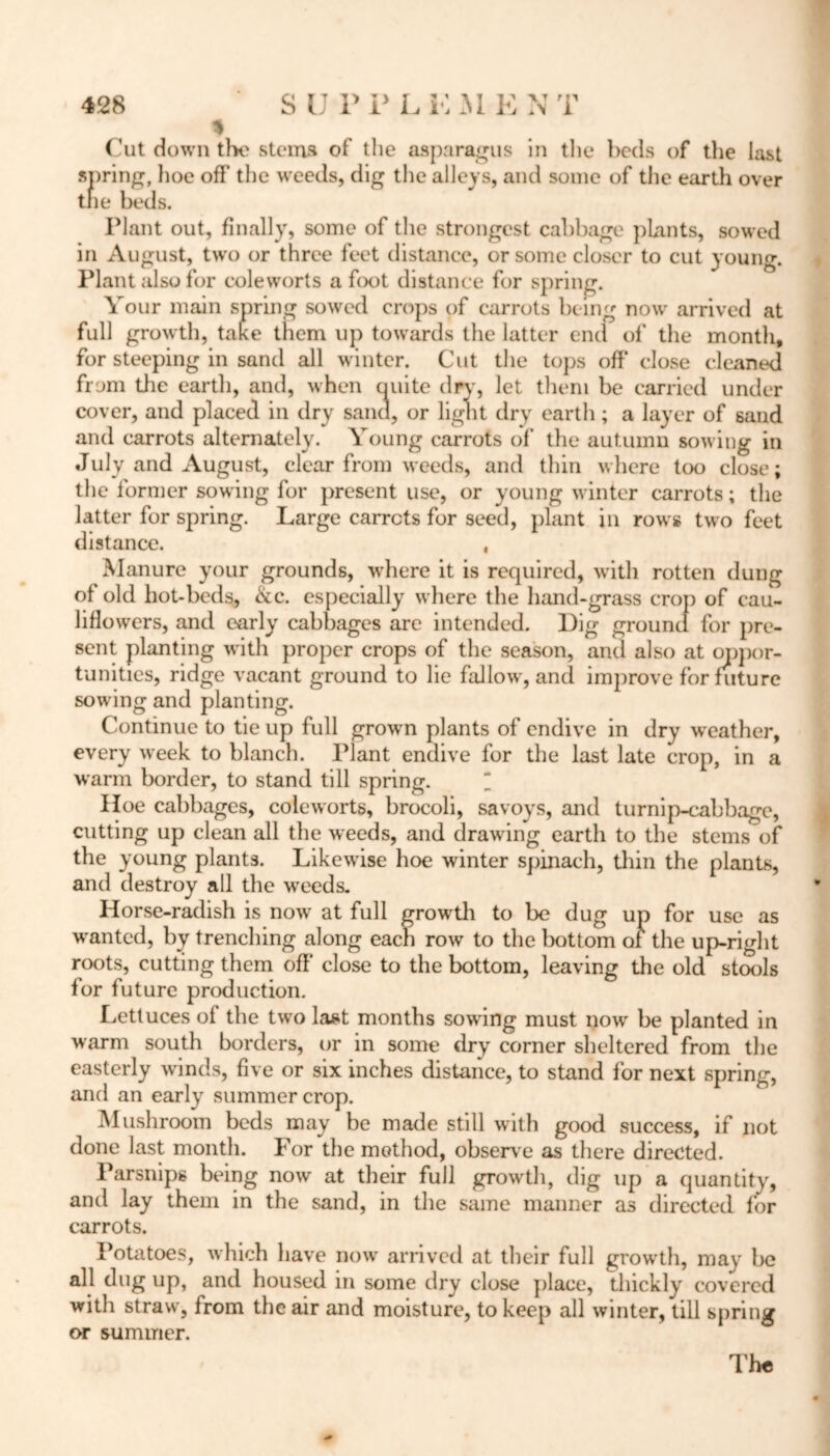 % Cut down the stems of the asparagus in the beds of the last spring, hoe off the weeds, dig the alleys, and some of the earth over the beds. Plant out, finally, some of the strongest cabbage plants, sowed in August, two or three feet distance, or some closer to cut young. Plant also for coleworts a foot distance for spring. Your main spring sowed crops of carrots being now arrived at full growth, take them up towards the latter end of the month, for steeping in sand all winter. Cut the tops off close cleaned from the earth, and, when quite dry, let them be carried under cover, and placed in dry sand, or light dry earth; a layer of sand and carrots alternately. Young carrots of the autumn sowing in July and August, clear from weeds, and thin where too close; the former sowing for present use, or young winter carrots; the latter for spring. Large carrots for seed, plant in rows two feet distance. , Manure your grounds, where it is required, with rotten dung of old hot-beds, &c. especially where the hand-grass crop of cau- liflowers, and early cabbages are intended. Dig ground for pre- sent planting with proper crops of the season, and also at oppor- tunities, ridge vacant ground to lie fallow, and improve for future sowing and planting. Continue to tie up full grown plants of endive in dry weather, every week to blanch. Plant endive for the last late crop, in a warm border, to stand till spring. Hoe cabbages, coleworts, brocoli, savoys, and turnip-cabbage, cutting up clean all the weeds, and drawing earth to the stems of the young plants. Likewise hoe winter spinach, thin the plants, and destroy all the weeds. Horse-radish is now at full growth to be dug up for use as wanted, by trenching along each row to the bottom of the up-right roots, cutting them off' close to the bottom, leaving the old stools for future production. Lettuces of the two last months sowing must now be planted in warm south borders, or in some dry corner sheltered from the easterly winds, five or six inches distance, to stand for next spring, and an early summer crop. Mushroom beds may be made still with good success, if not done last month. For the method, observe as there directed. Parsnips being now at their full growth, dig up a quantity, and lay them in the sand, in the same manner as directed for carrots. Potatoes, which have now arrived at their full growth, may be all dug up, and housed in some dry close place, thickly covered with straw, from the air and moisture, to keep all winter, till spring or summer. The