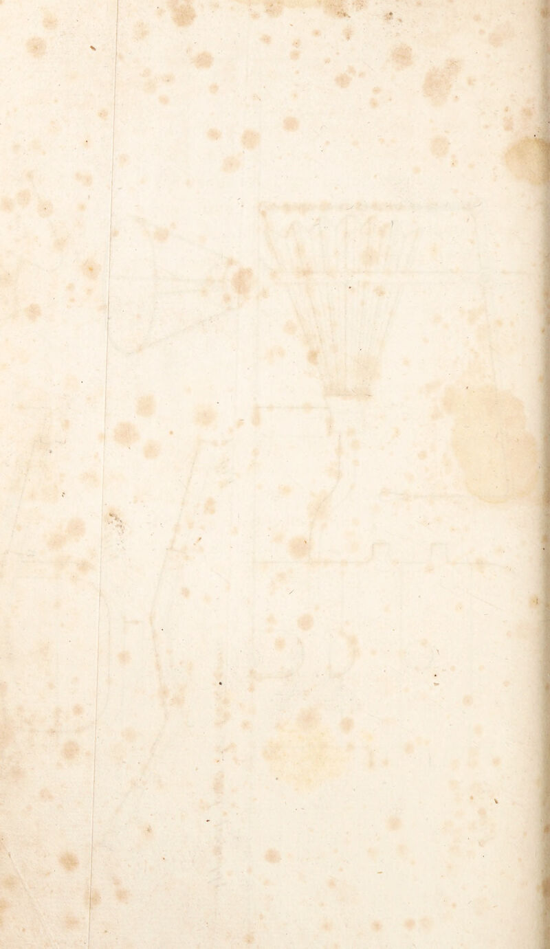 5 N» . • .4, «► 3 « f ■?» ' ■ #- t •> 3*5 / ~\ 4 *■.< ;f m r • -.1.' ’■■ Tu • m'f.- . 4- 4