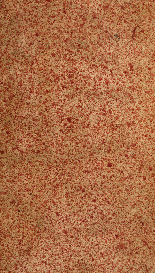 digitised image 1