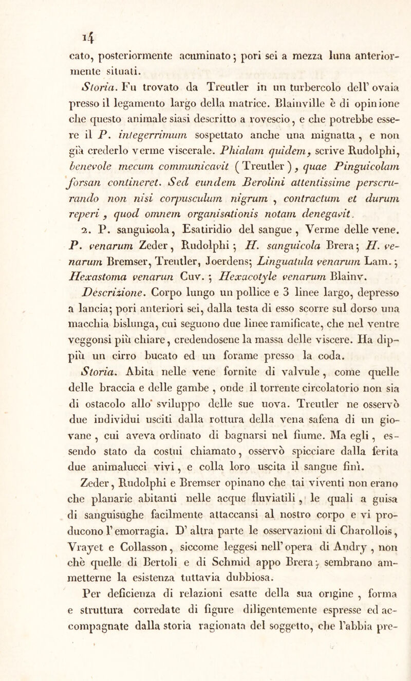 cato, posteriormente acuminato *, pori sei a mezza luna anterior- mente situati. Storia. Fu trovato da Treutler in un turbercolo dell1 ovaia presso il legamento largo della matrice. Blainville è di opinione che questo animale siasi descritto a rovescio, e che potrebbe esse- re il P. integerrimum sospettato anche una mignatta , e non già crederlo verme viscerale. Phialam quidem, scrive Rudolphi, benevole mecum communicavit ( Treutler ) , quae Pinguicolam forsan contineret. Sed eundem Berolini attentissime perscru- rando non ni si corpusculum nigrum , contractum et durum reperi , quod omnem organisationis notam denegavit. i. P. sanguiGola, Esatiridio del sangue , Verme delle vene. P. venarum Zeder, Rudolphi } H. sanguicola Brera ; H. ve- narum Bremser, Treutler, Joerdens; Linguatula venarum Lam. *, Hexastoma venarun Cuv. \ Hexacotyle venarum Blainv. Descrizione. Corpo lungo un pollice e 3 linee largo, depresso a lancia*, pori anteriori sei, dalla testa di esso scorre sul dorso una macchia bislunga, cui seguono due linee ramificate, che nel ventre veggonsi piu chiare, credendosene la massa delle viscere. Ha dip- piu un cirro bucato ed un forame presso la coda. Storia. Abita nelle vene fornite di valvule, come quelle delle braccia e delle gambe , onde il torrente circolatorio non sia di ostacolo allo sviluppo delle sue uova. Treutler ne osservò due individui usciti dalla rottura della vena safena di un gio- vane , cui aveva ordinato di bagnarsi nel fiume. Ma egli, es- sendo stato da costui chiamato, osservò spicciare dalla ferita due animalucci vivi, e colla loro uscita il sangue fini. Zeder, Rudolphi e Bremser opinano che tai viventi non erano che planarie abitanti nelle acque fluviatili, le quali a guisa di sanguisughe facilmente attaccansi al nostro corpo e vi pro- ducono Bemorragia. D'altra parte le osservazioni di Charollois, Vrayet e Collasson, siccome leggesi nell’opera di Andry , non che quelle di Bertoli e di Schmid appo Brera ^ sembrano am- metterne la esistenza tuttavia dubbiosa. Per deficienza di relazioni esatte della sua origine , forma e struttura corredate di figure diligentemente espresse ed ac- compagnate dalla storia ragionata del soggetto, che rabbia pre-