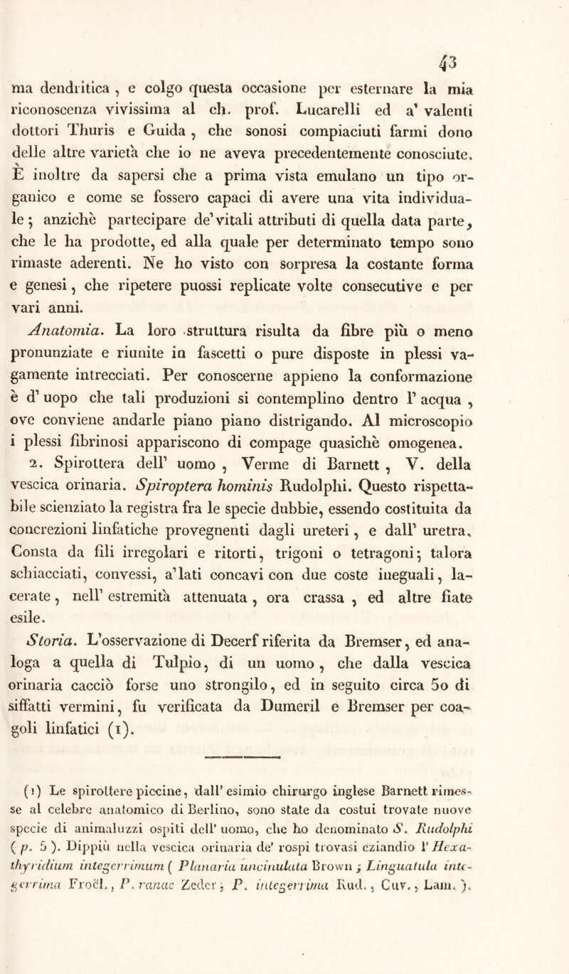 ma dendrìtica , e colgo questa occasione per esternare la mia riconoscenza vivissima al eh. prof. Lucarelli ed a* valenti dottori Thuris e Guida , che sonosi compiaciuti farmi dono delle altre varietà che io ne aveva precedentemente conosciute. E inoltre da sapersi che a prima vista emulano un tipo or- ganico e come se fossero capaci di avere una vita individua- le ; anziché partecipare de1 vitali attributi di quella data parte, che le ha prodotte, ed alla quale per determinato tempo sono rimaste aderenti. Ne ho visto con sorpresa la costante forma e genesi, che ripetere puossi replicate volte consecutive e per vari anni. Anatomia. La loro struttura risulta da fibre più o meno pronunziate e riunite in fascetti o pure disposte in plessi va- gamente intrecciati. Per conoscerne appieno la conformazione è d1 uopo che tali produzioni si contemplino dentro 1’ acqua , ove conviene andarle piano piano distrigando. Al microscopio i plessi fibrinosi appariscono di compage quasiché omogenea. 2. Spirottera dell’ uomo , Verme di Barnett , V. della vescica orinaria. Spir opterà hominis Rudolphi. Questo rispetta- bile scienziato la registra fra le specie dubbie, essendo costituita da concrezioni linfatiche provegnenti dagli ureteri, e dall’ uretra. Consta da fili irregolari e ritorti, trìgoni o tetragoni*, talora schiacciati, convessi, a1 lati concavi con due coste ineguali, la- cerate , nell1 estremità attenuata , ora crassa , ed altre fiate esile. Storia. L’osservazione di Decerf riferita da Bremser, ed ana- loga a quella di Tulpio, di un uomo , che dalla vescica orinaria cacciò forse uno strongilo, ed in seguito circa 5o di siffatti vermini, fu verificata da Dumeril e Bremser per coa- goli linfatici (i). (i) Le spiroltere piccine, dall’esimio chirurgo inglese Barnett rimes- se al celebre anatomico di Berlino, sono state da costui trovate nuove specie di animaluzzi ospiti dell’ uomo, che ho denominato S. Rudolphi ( p. 5 ). Dippiu nella vescica orinaria de’ rospi trovasi eziandio 1 ’ Hexa- thyridium integerrimum ( Planaria uncinulata Brown ; Linguaiula inte- gerrima Froeh , P. ranac Zcdcr, P, integerrima Rud,, Cuv.,Lam. ).