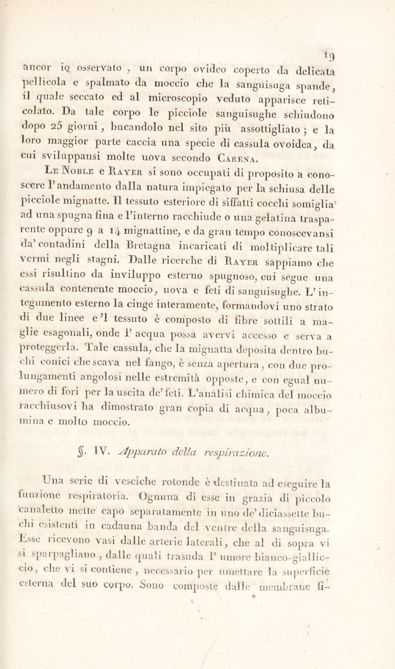 HJ ancor ìq. osservato , un corpo oyideo coperto da delicata pellicola e spalmato da moccio che la sanguisuga spande, il quale seccato ed al microscopio veduto apparisce reti- colato. Da tale corpo le picciole sanguisughe schiudono dopo 25 giorni, bucandolo nel sito più assottigliato ; e la ìoio maggior parte caccia una specie di cassula ovoidea, da cui sviluppatisi molle uova secondo Carena. Le Noble e Rayer si sono occupali di proposito a cono- scere l’andamento dalla natura impiegato per la schiusa delle picciole mignatte. Il tessuto esteriore di siffatti cocchi somiglia5 ad una spugna fina e l’interno racchiude o una gelatina traspa- rente oppure 9 a 14 mignattine, e da gran tempo conoscevansi da’contadini della Bretagna incaricati di moltiplicare tali verini negli stagni. Dalle ricerche di Rayer sappiamo che essi risultino da inviluppo esterno spugnoso, cui segue una cassula contenente moccio, uova e feti di sanguisughe. L’in- tegumento esterno la cinge interamente, formandovi uno strato di due lince e 1 tessuto e composto di fibre sottili a ma- glie esagonali, onde 1 acqua possa avervi accesso e serva a pioteggeila. baie cassula, che la mignatta deposita dentro bu- chi conici che scava nel fango, e senza apertura, con due pro- lungamenti angolosi nelle estremila opposte, e con egual nu- me t o di foli pei la uscita de’feti. L’anàlisi chimica del moccio racchiusovi ha dimostrato gran copia di acqua, poca albu- mina e mollo moccio. §■ IV. Apparato della respirazione. Una serie di vesciche rotonde è destinata ad eseguire la funzione respiratoria. Ognuna di esse in grazia di piccolo canaletto mette capo separatamente in uno de’diciassette bu- clli Ostenti in cadauna banda del ventre della sanguisuga. Esse ricevono vasi dalle arterie laterali, che al eli sopra vi si spaipagliano , dalle quali trasuda 1’ umore bianco-eiallic- ciò, ciie vi si contiene , necessario per umettare la superfìcie esterna del suo corpo. Sono composte dalle membrane fi-