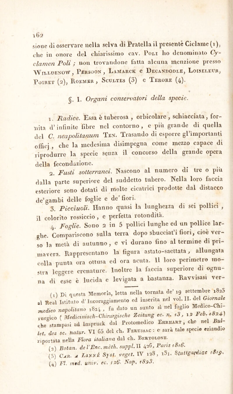 ì6a sione di osservare nella selva di Pratella il presente Ciclame (1), che in onore del chiarissimo cav. Poli ho denominato Cy* clamori Poli ; non trovandone fatta alcuna menzione presso Willoenow j Persoon , Lamarck e Decanbodle, LoiSeleur, Poiret (2); Roemer > Scultes (3) c Ferore (4). §. I. Organi conservatori della specie. 1. Radice. Essa è tuberosa , orbicolare , schiacciata, for- nita d’infinite fibre nel contorno, e più grande di quella del C. neapolitanum Tev. Trasando di esporre gl’importanti officj , che la medesima disimpegna come mezzo capace di riprodurre la specie senza il concoiso della grande opeia della fecondazione. 2. jFasti sotterranei. Nascono al numero di tre o più dalla parte superiore del suddetto tubero. Nella loto faccia esteriore sono dotati di molte cicatrici prodotte dal distacco de’gambi delle foglie c de fiori. 3. Picciuoli. Hanno quasi la lunghezza di sei pollici , il colorito rossiccio , e perfetta rotondità. 4. Foglie. Sono 2 in 5 pollici lunghe ed un pollice lar- ghe. Compariscono sulla terra dopo sbucciaci fiori, cioè ver- so fa metà di autunno, e vi durano fino al termine di pri- mavera. Rappresentano la figura astato-saettata^ allungata colla punta ora ottusa ed ora acuta. Il loro perimetro mo- stra leggere crenature. Inoltre la faccia superiore di ognu- na di Tsse è lucida e levigata a bastanza. Ravvisasi ver- (0 Di questa Memoria, letta nella tornata de’ 19 settembre i8a5 al Re al Istituto cV Incoraggiamento ed inserita nel voi. IL del Giornale medico napolitano ,8*4 , fa dato un santo sì nel foglio Med.co-Cln- rareico ( Medicinisch-Chirurgische Zeitung ec. n. i3, i* Feb. 4*3*) c he stampasi ad Inspruck dal Protomedico Ehriiart , che nel lùd- let. des se. natur. VI 65 del eh. Ferussac : e sarà tale speme eziandio riportata nella Flora italiana dal eh. Bertolone. (2) Boian. deVJGnc.mèth. suppl.ll 426, Faris 1816. (5) Cj.r. .4 Lsnné Syst. veget. IV 128, i5i, Stuttgardiae >8i$> (4) FI. mtd. urne. ec. 126. Nap. i8a3.