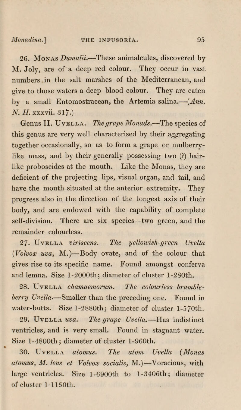 26. Monas Dumalii.—These animalcules, discovered by M. Joly, are of a deep red colour. They occur in vast numbers.in the salt marshes of the Mediterranean, and give to those waters a deep blood colour. They are eaten by a small Entomostracean, the Artemia salina.—{Ann. N. H. xxxvii. 317.) Genus II. Uvella. The grape Monads.—The species of this genus are very well characterised by their aggregating together occasionally, so as to form a grape or mulberry¬ like mass, and by their generally possessing two (?) hair¬ like proboscides at the mouth. Like the Monas, they are deficient of the projecting lijis, visual organ, and tail, and have the mouth situated at the anterior extremity. They progress also in the direction of the longest axis of their body, and are endowed with the capability of complete self-division. There are six species—two green, and the remainder colourless. 27. UVELLA viriscens. The yellowish-green Uvella {Volvox uva, M.)—Body ovate, and of the colour that gives rise to its specific name. Found amongst conferva and lemna. Size l-2000th; diameter of cluster l-280th. 28. Uvella chamaemorum. The colourless bramble- berry Uvella.—Smaller than the preceding one. Found in water-butts. Size l-2880th; diameter of cluster l-570th. 29. Uvella The grape Uvella.—Has indistinct ventricles, and is very small. Found in stagnant water. Size l-4800th; diameter of cluster 1-960th. 30. Uvella atomus. The atom Uvella {Monas atomus, M. lens et Volvox socialis, M.)—Voracious, with large ventricles. Size 1-6900th to 1-3406th; diameter of cluster 1-1150th.