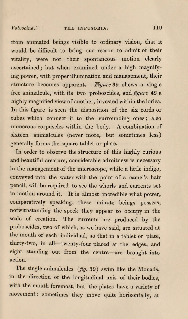 from animated beings visible to ordinary vision, that it would be difficult to bring our reason to admit of their vitality, were not their spontaneous motion clearly ascertained; but when examined under a high magnify¬ ing power, with proper illumination and management, their structure becomes apparent. Figure 39 shews a single free animalcule, with its two proboscides, and figure 42 a highly magnified view of another, invested within the lorica. In this figure is seen the disposition of the six cords or tubes which connect it to the surrounding ones; also numerous corpuscles within the body. A combination of sixteen animalcules (never more, but sometimes less) generally forms the square tablet or plate. In order to observe the structure of this highly curious and beautiful creature, considerable adroitness is necessary in the management of the microscope, while a little indigo, conveyed into the water with the point of a camel’s hair pencil, will be required to see the whorls and currents set in motion around it. It is almost incredible what power, comparatively speaking, these minute beings possess, notwithstanding the speck they appear to occupy in the scale of creation. The currents are produced by the proboscides, two of which, as we have said, are situated at the mouth of each individual, so that in a tablet or plate, thirty-two, in all—twenty-four placed at the edges, and eight standing out from the centre—are brought into action. The single animalcules {fig. 39) swim like the Monads, in the direction of the longitudinal axis of their bodies, with the mouth foremost, but the plates have a variety of movement: sometimes they move quite horizontally, at